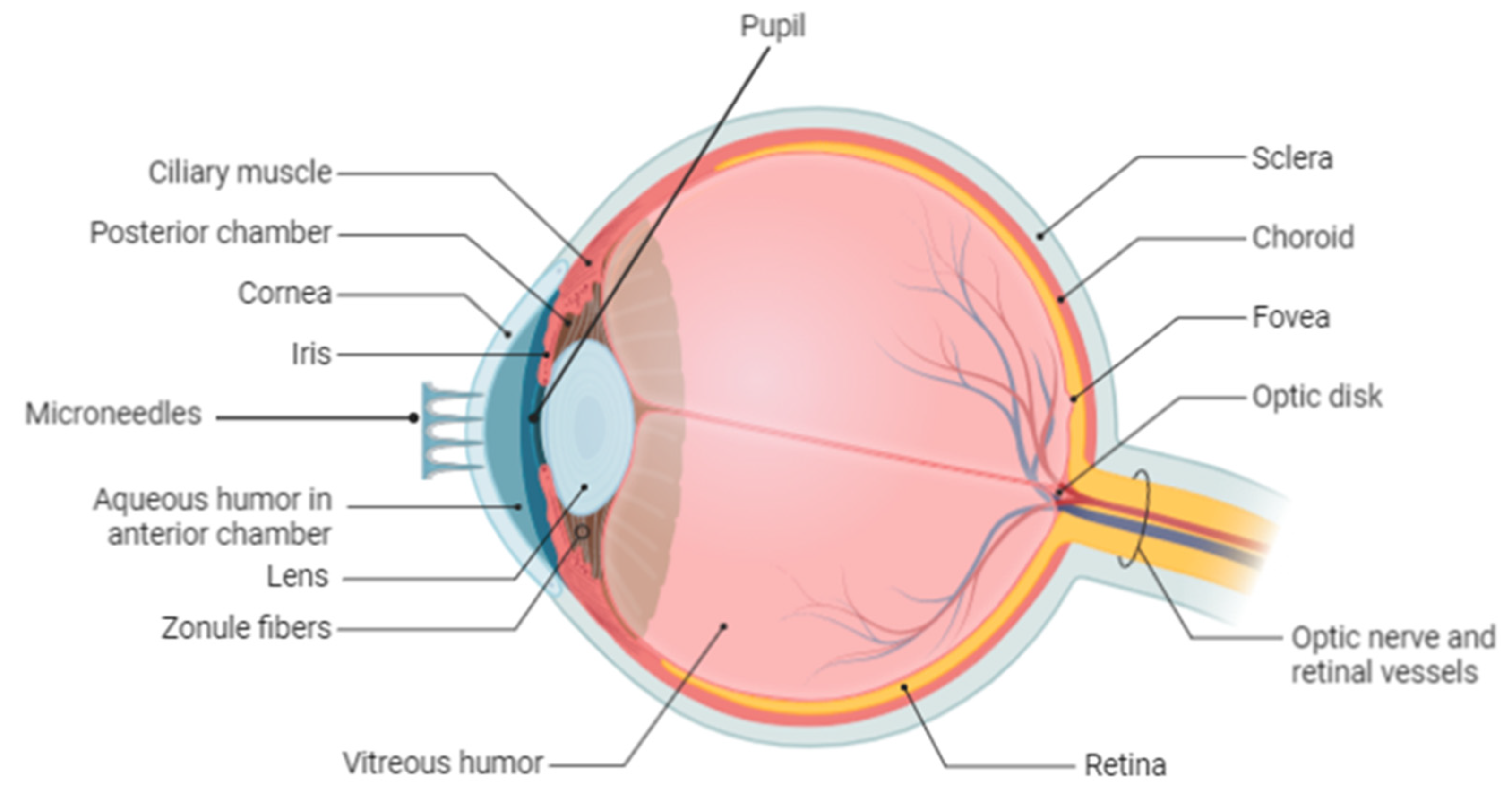 Polymers 13 02405 g007 Polymers 13 02405 g007