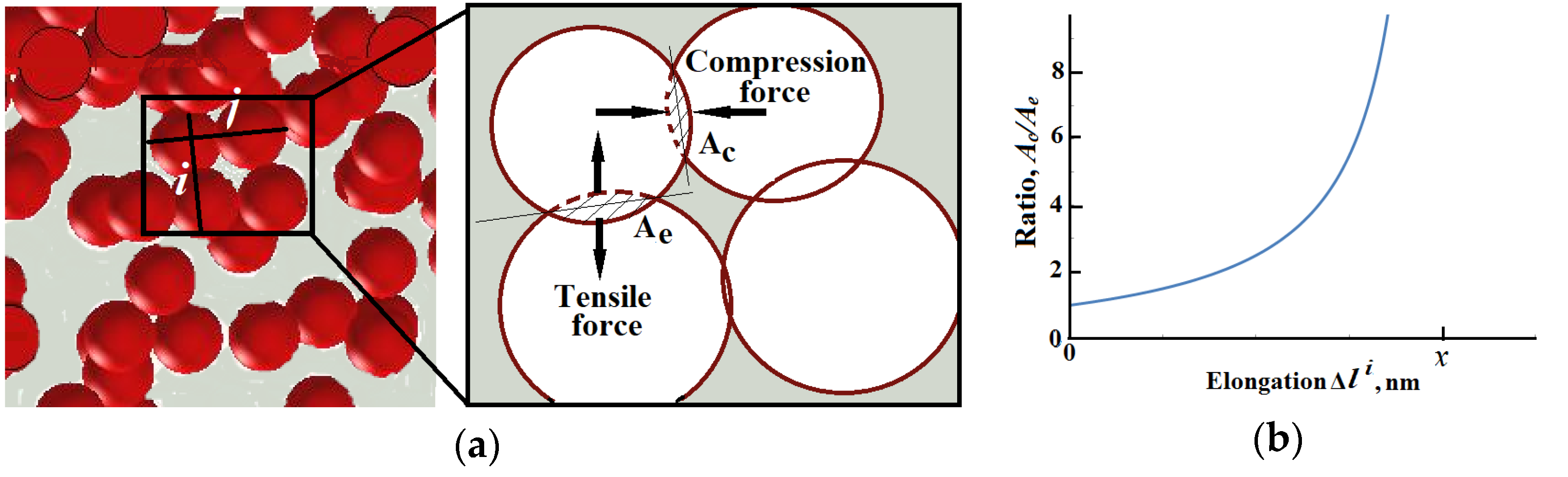 Polymers 13 02411 g008