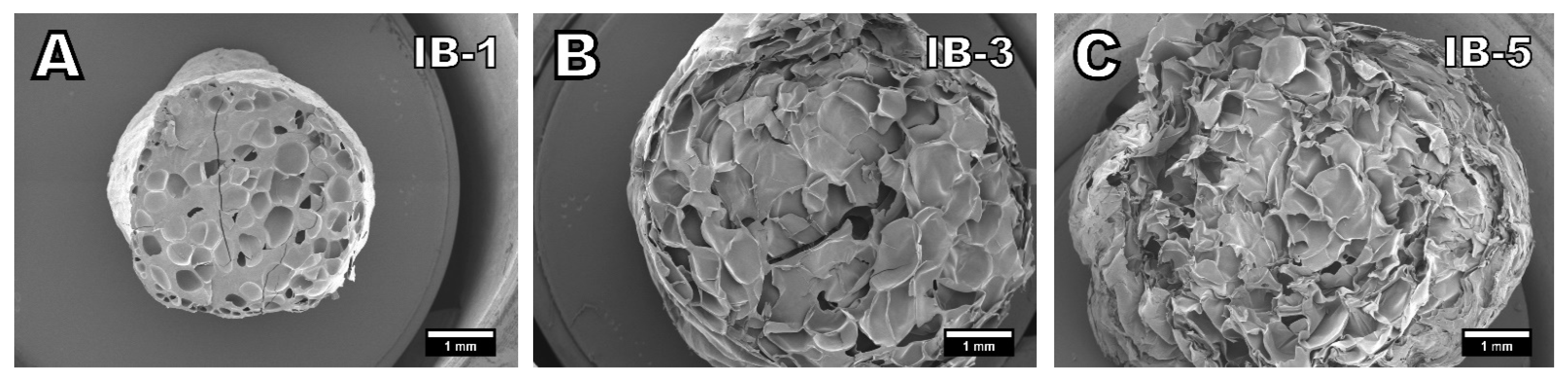 Polymers 13 02416 g003 550