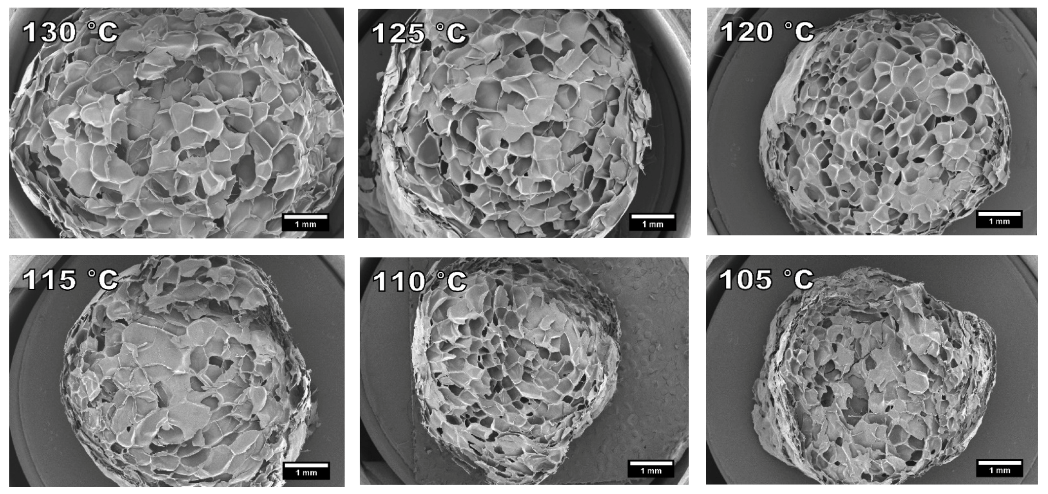 Polymers 13 02416 g007 550