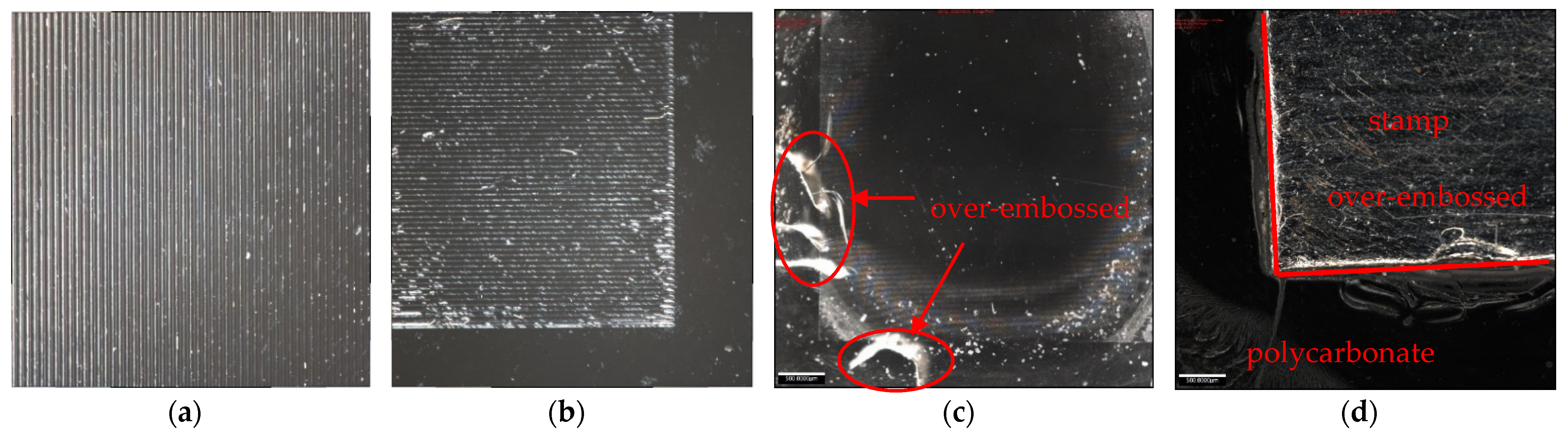 Polymers 13 02417 g009 550