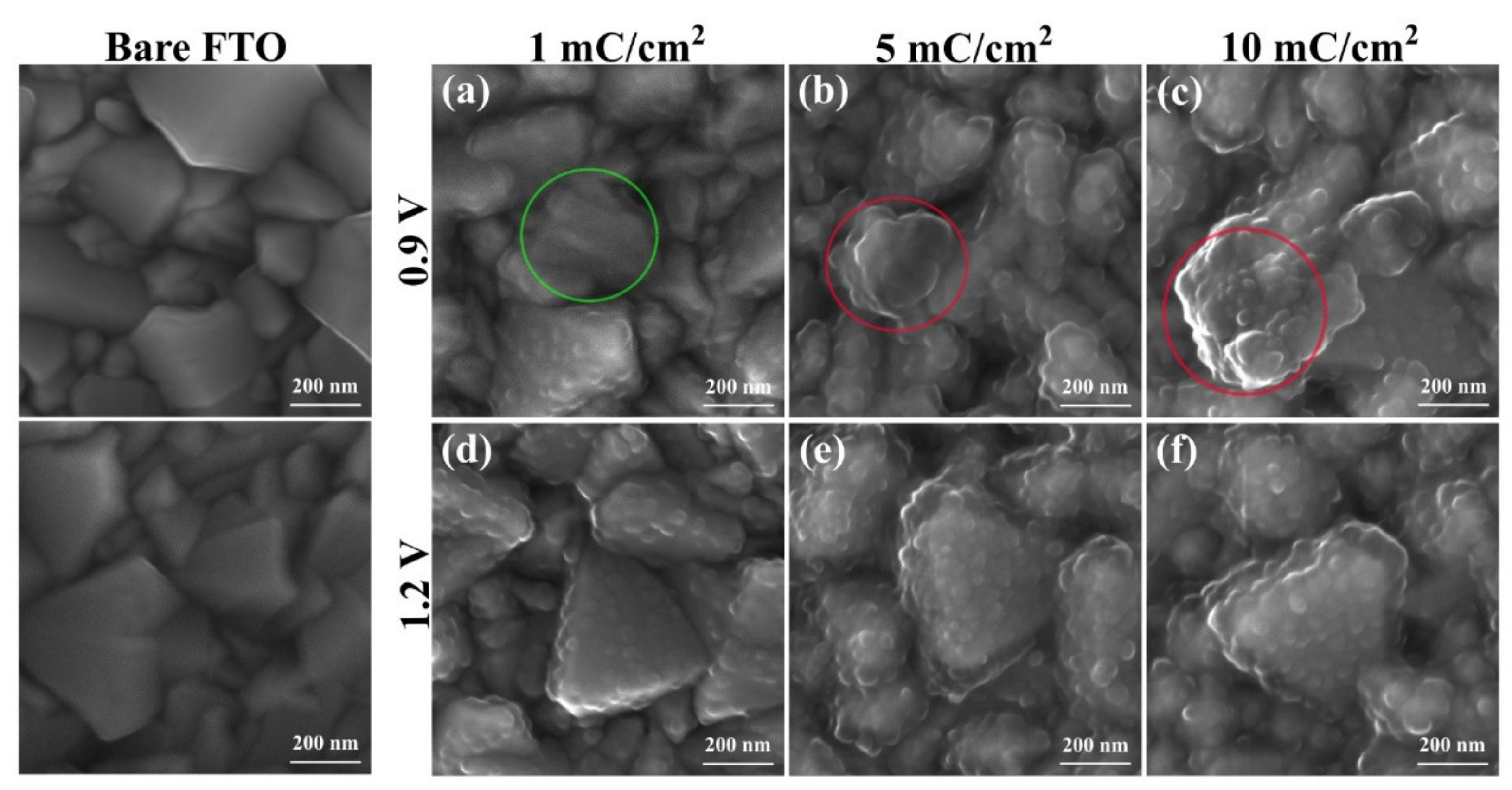 Polymers 13 02419 g003