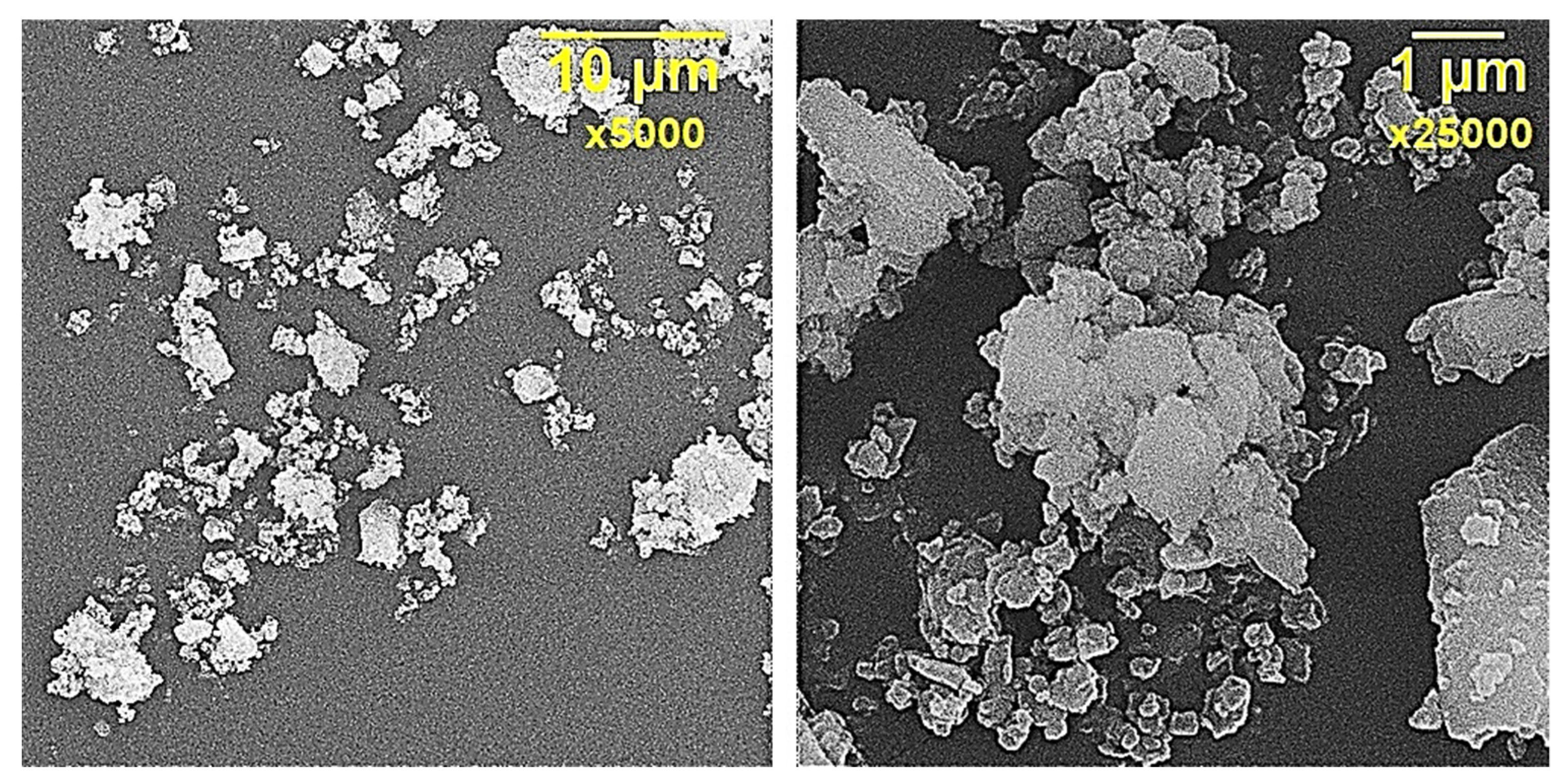 Polymers 13 02421 g001 550