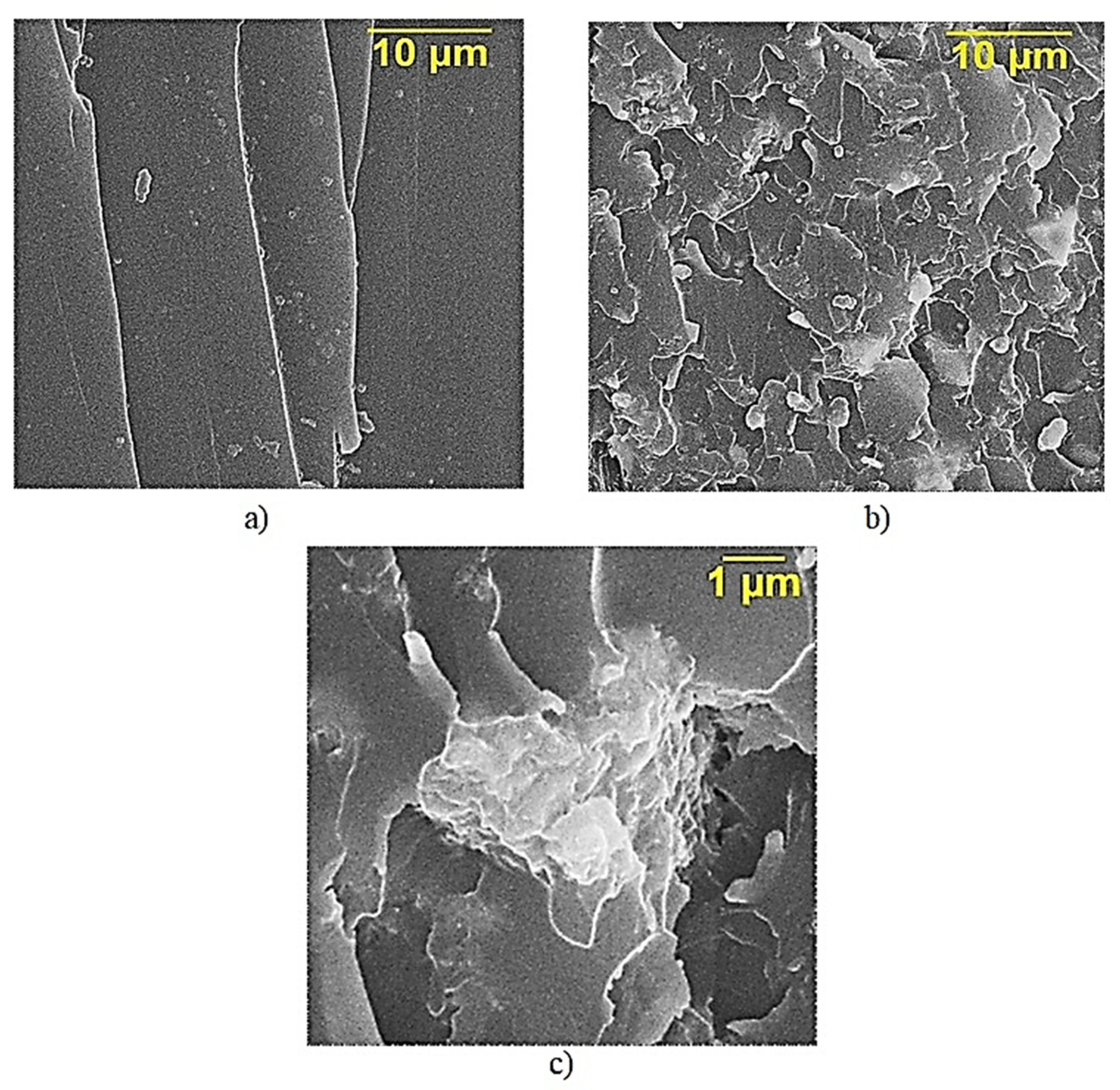 Polymers 13 02421 g004 550