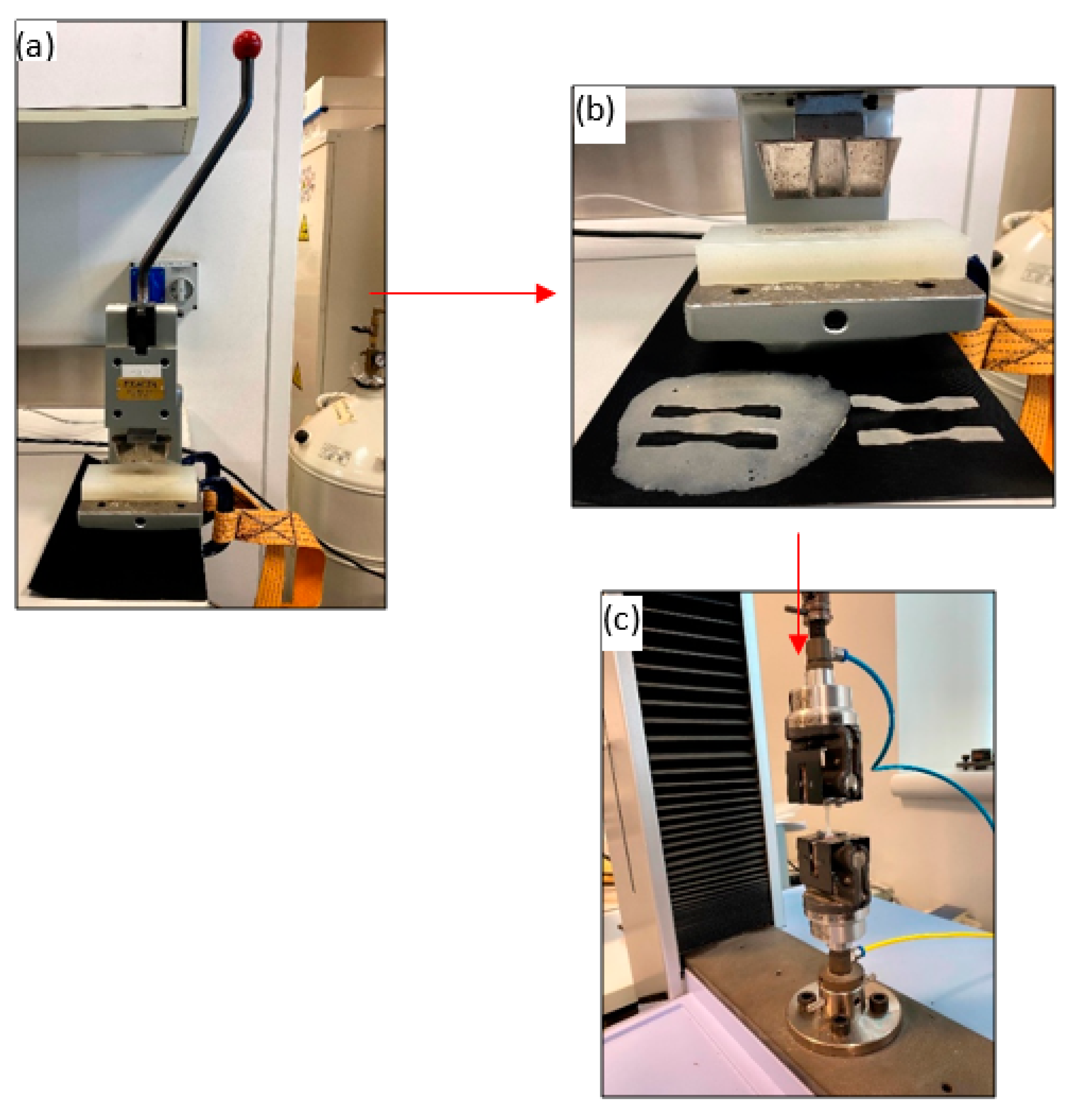 Polymers 13 02423 g004