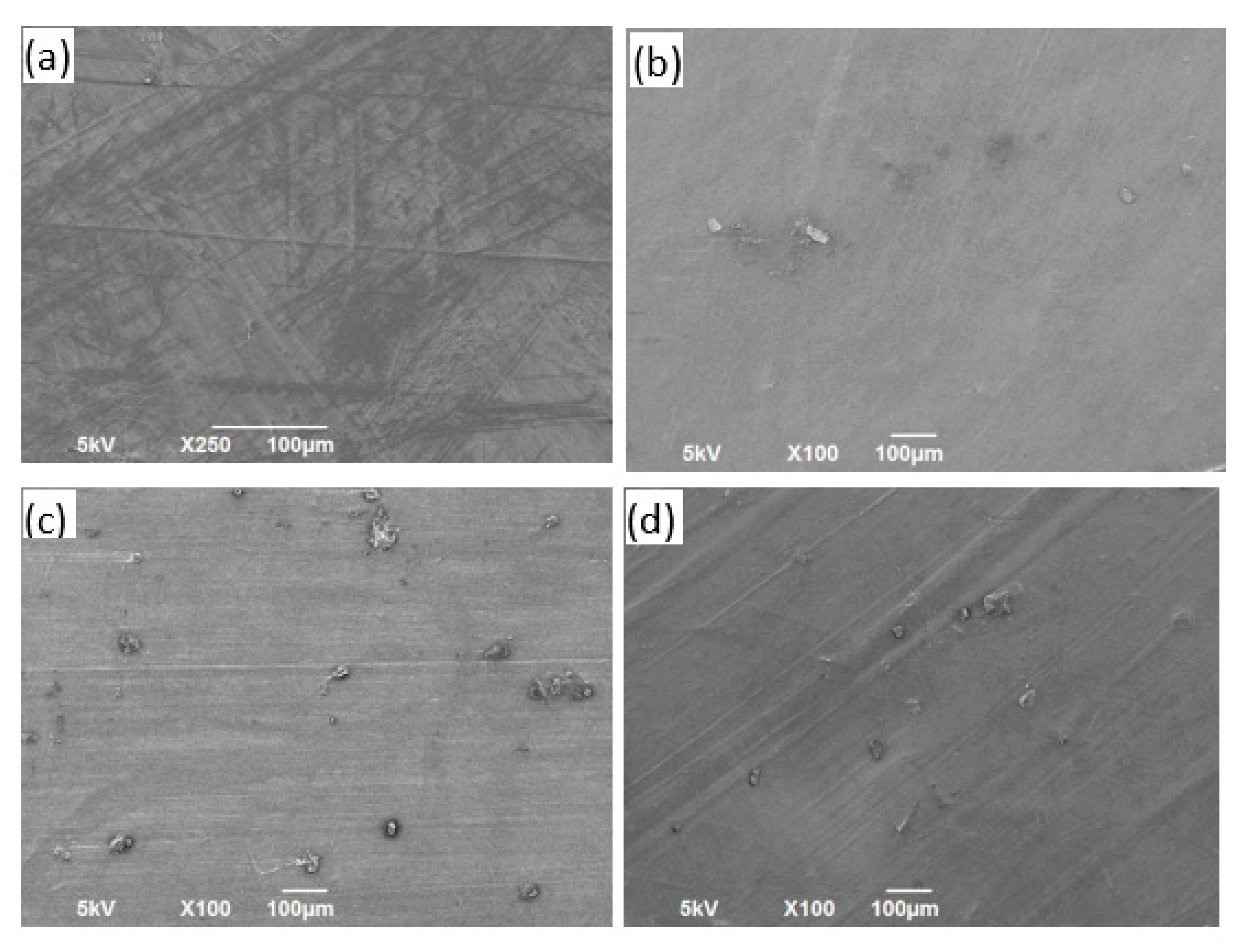 Polymers 13 02423 g014