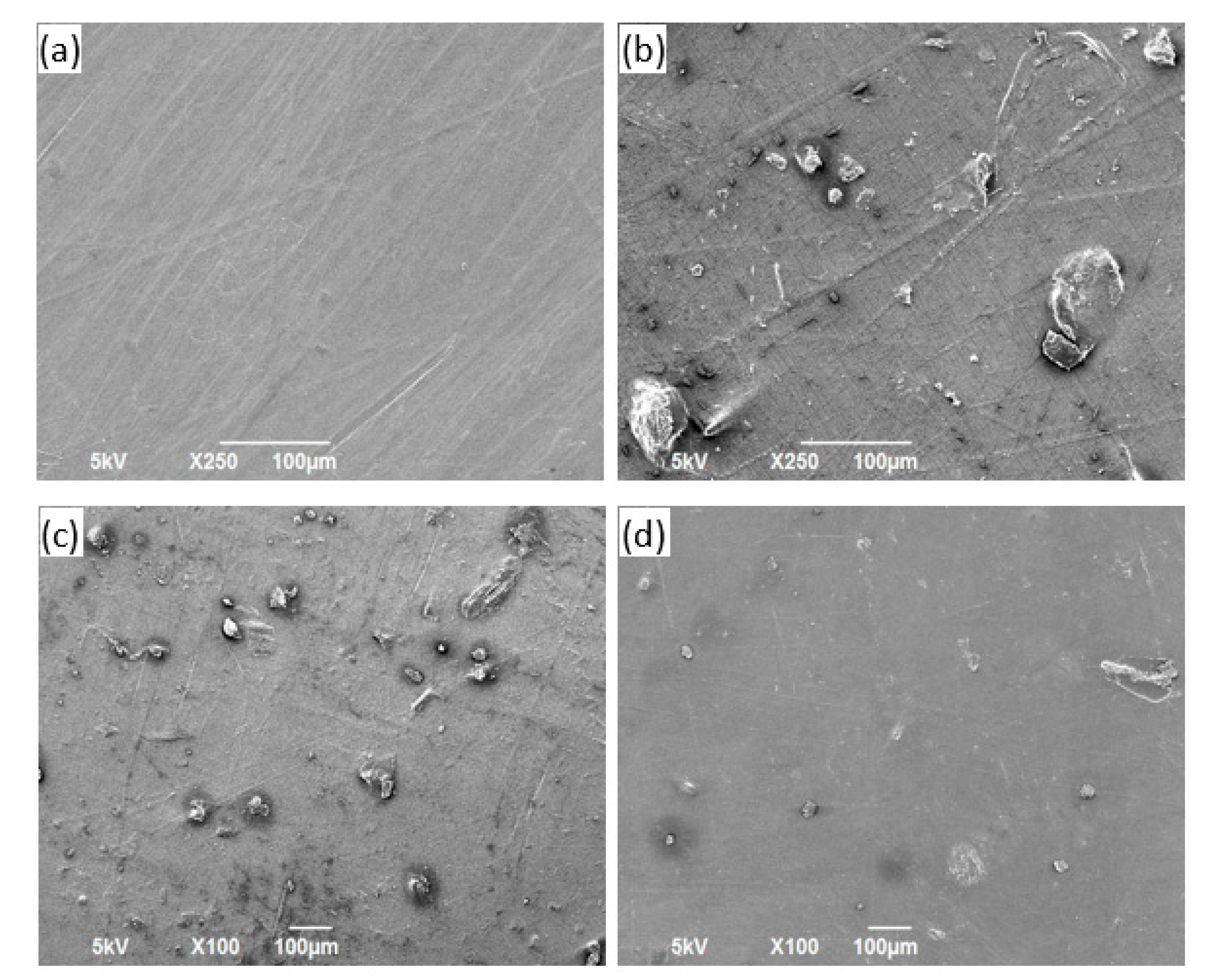 Polymers 13 02423 g016