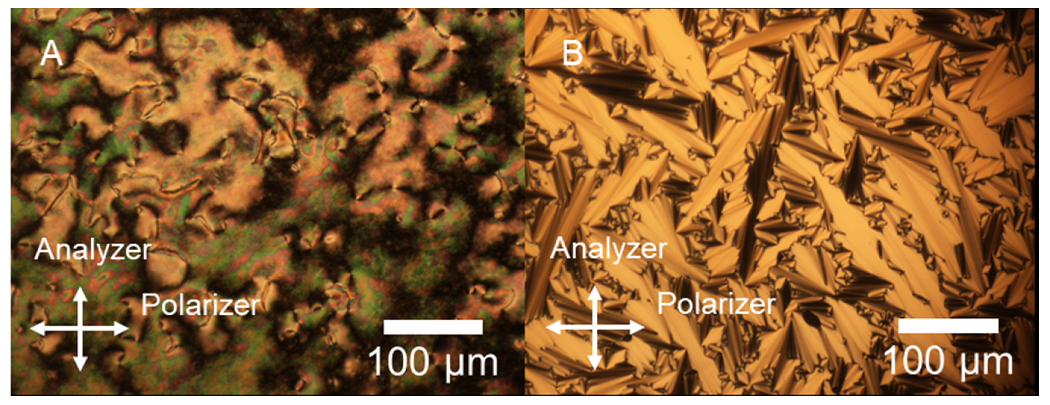 Polymers 13 02425 g002