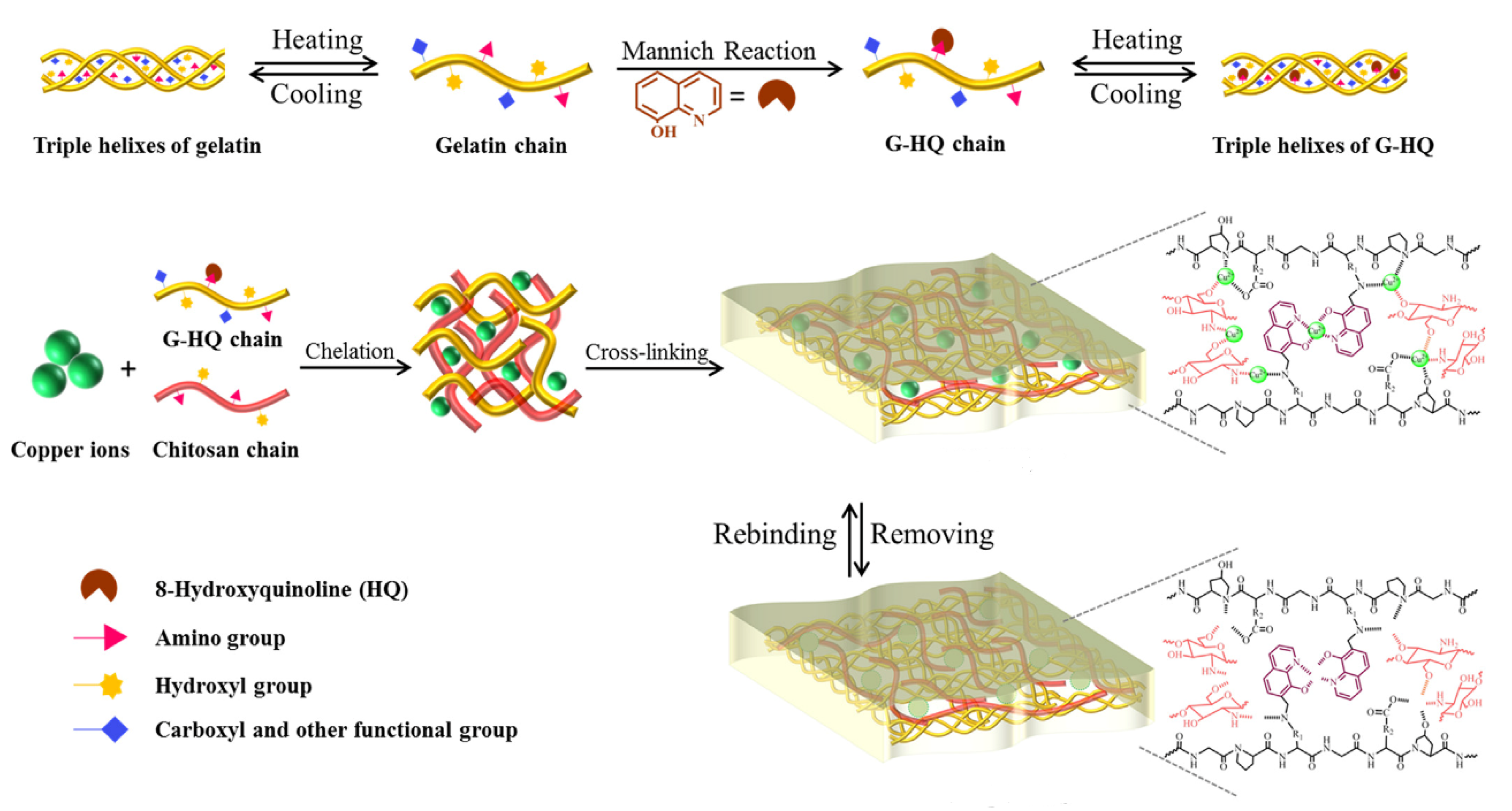 Polymers 13 02430 g004 550