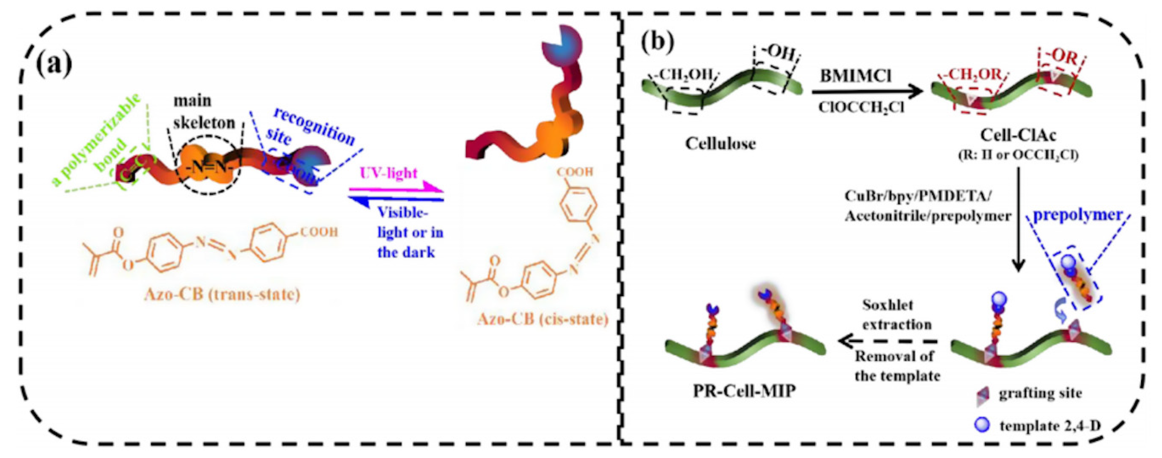 Polymers 13 02430 g007 550