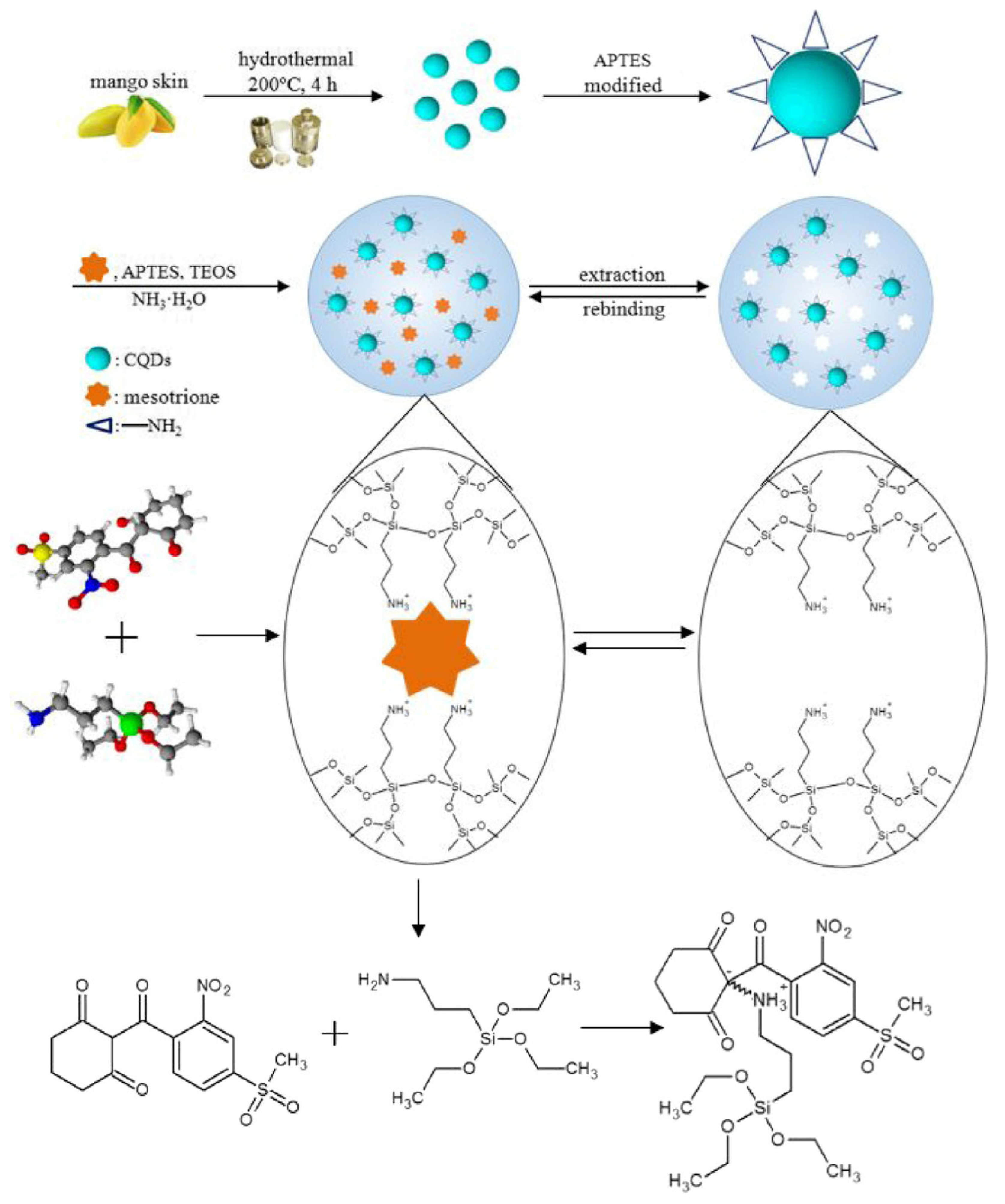 Polymers 13 02430 g010 550