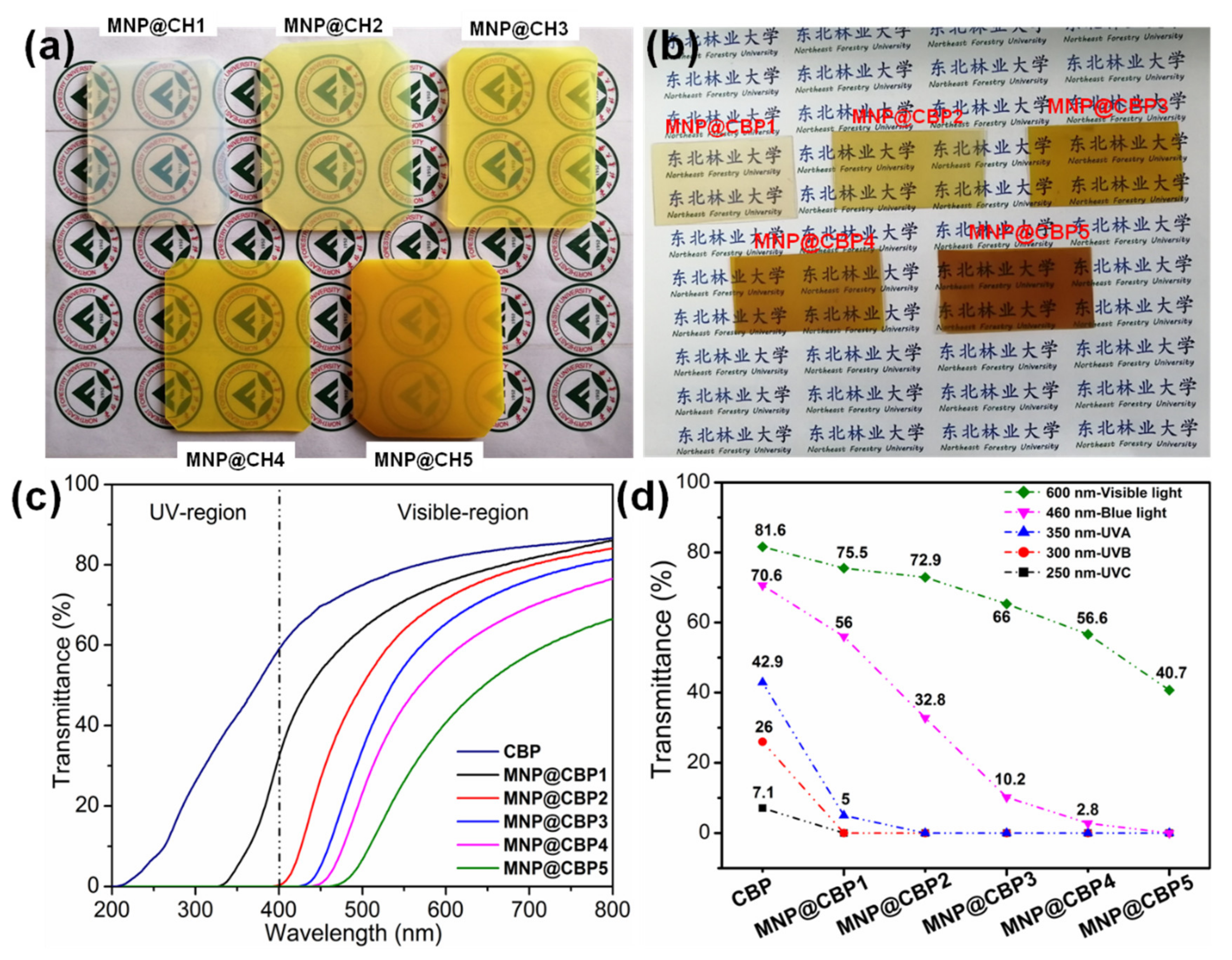 Polymers 13 02433 g006