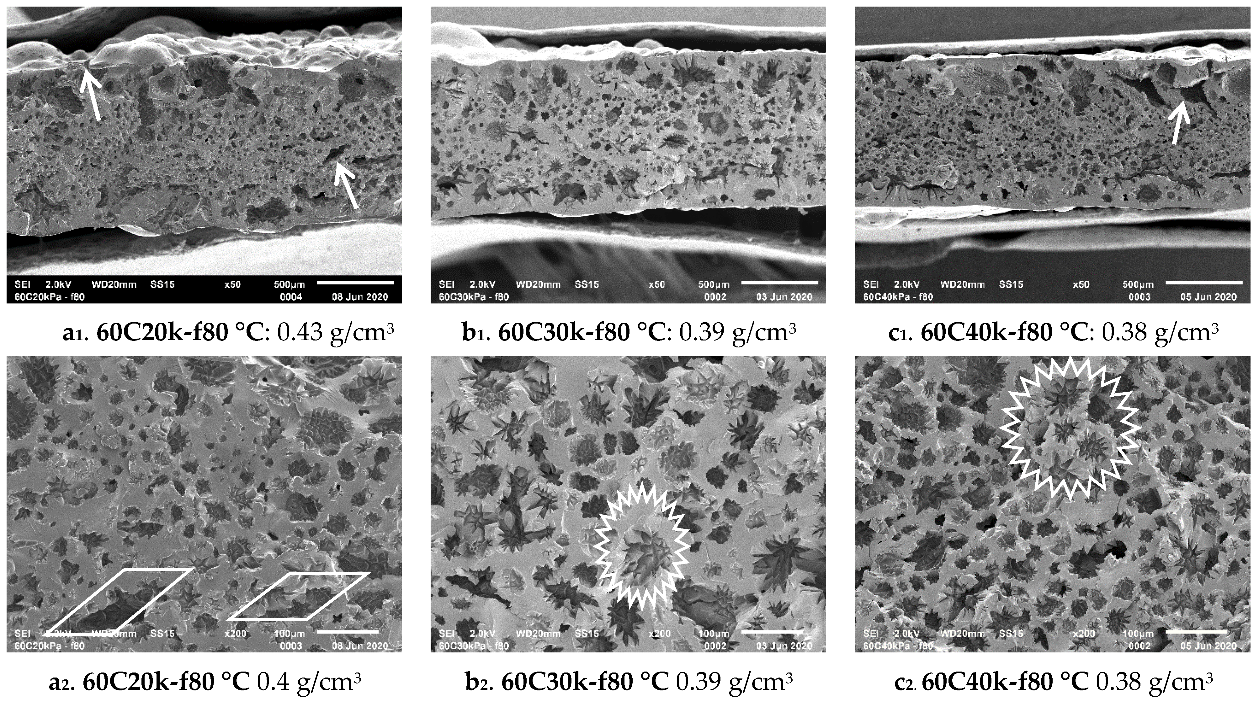 Polymers 13 02441 g007 550