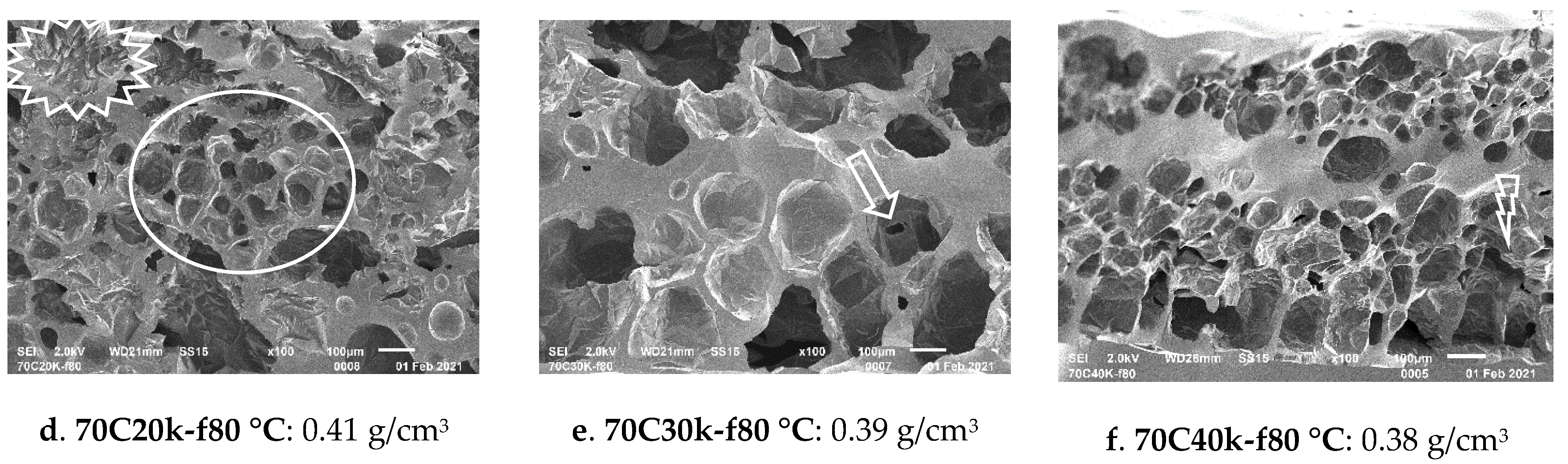 Polymers 13 02441 g009b 550