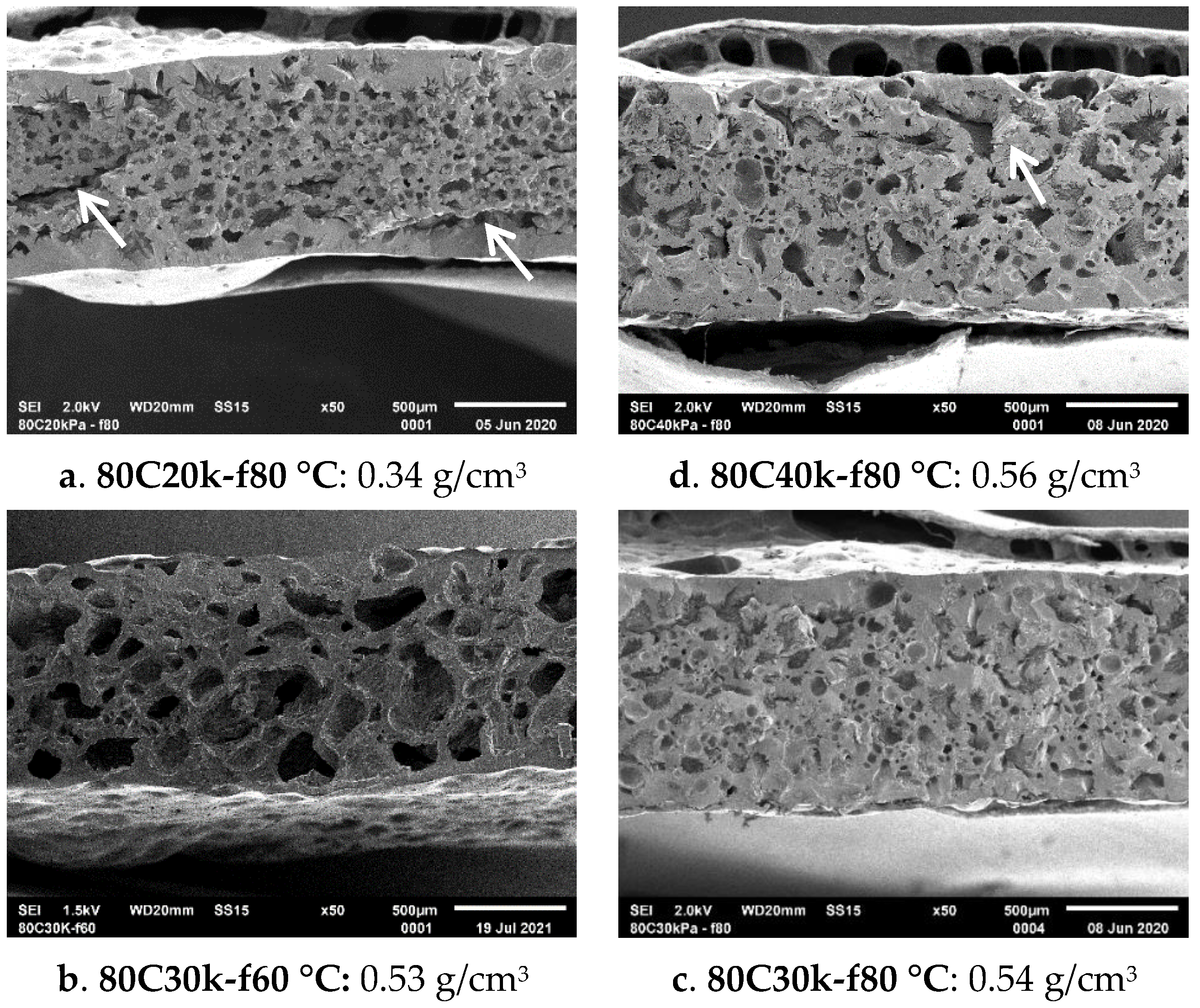 Polymers 13 02441 g010 550