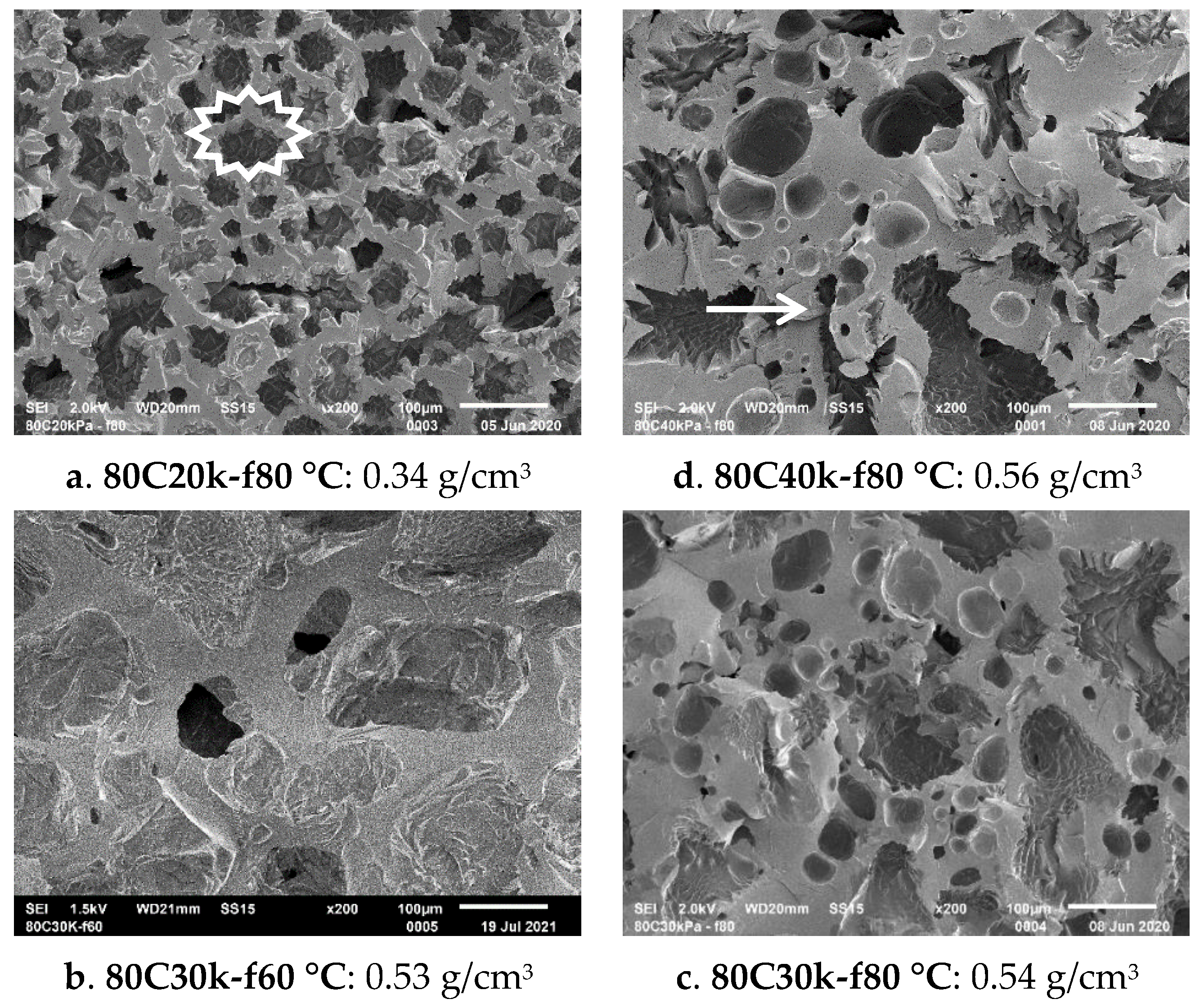 Polymers 13 02441 g011 550