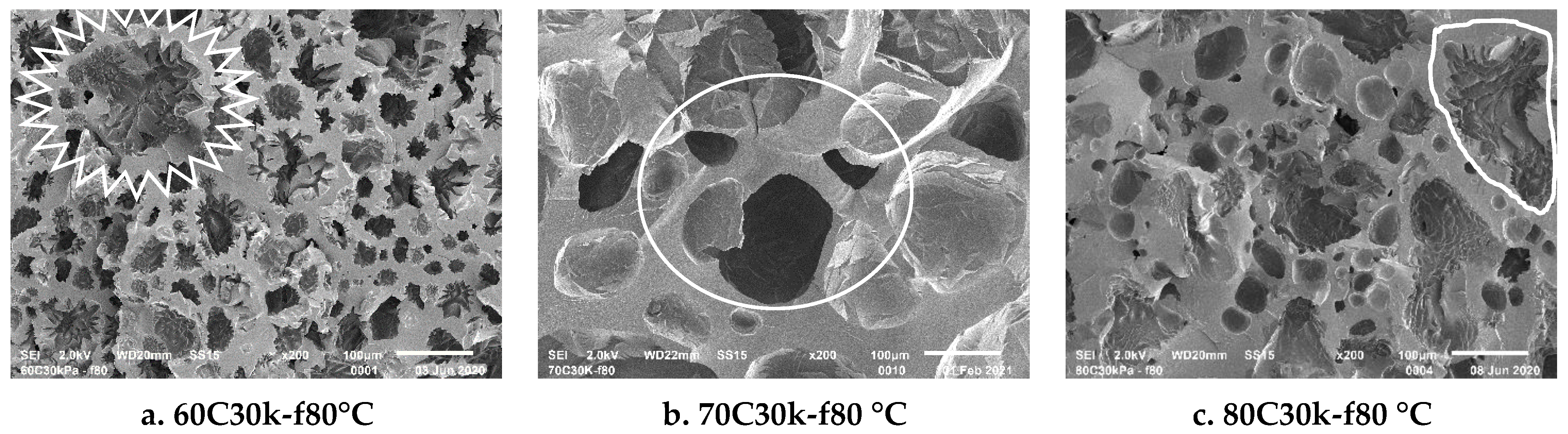 Polymers 13 02441 g013 550