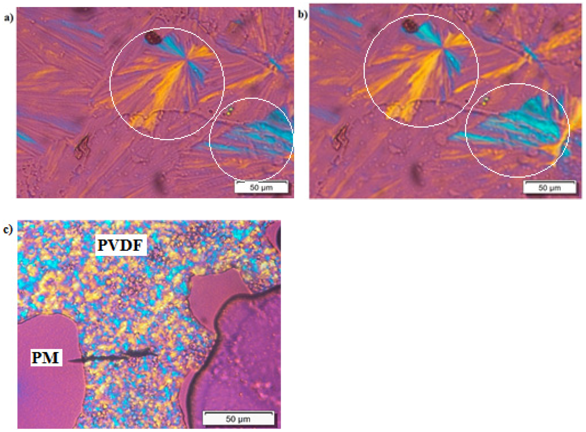 Polymers 13 02442 g002