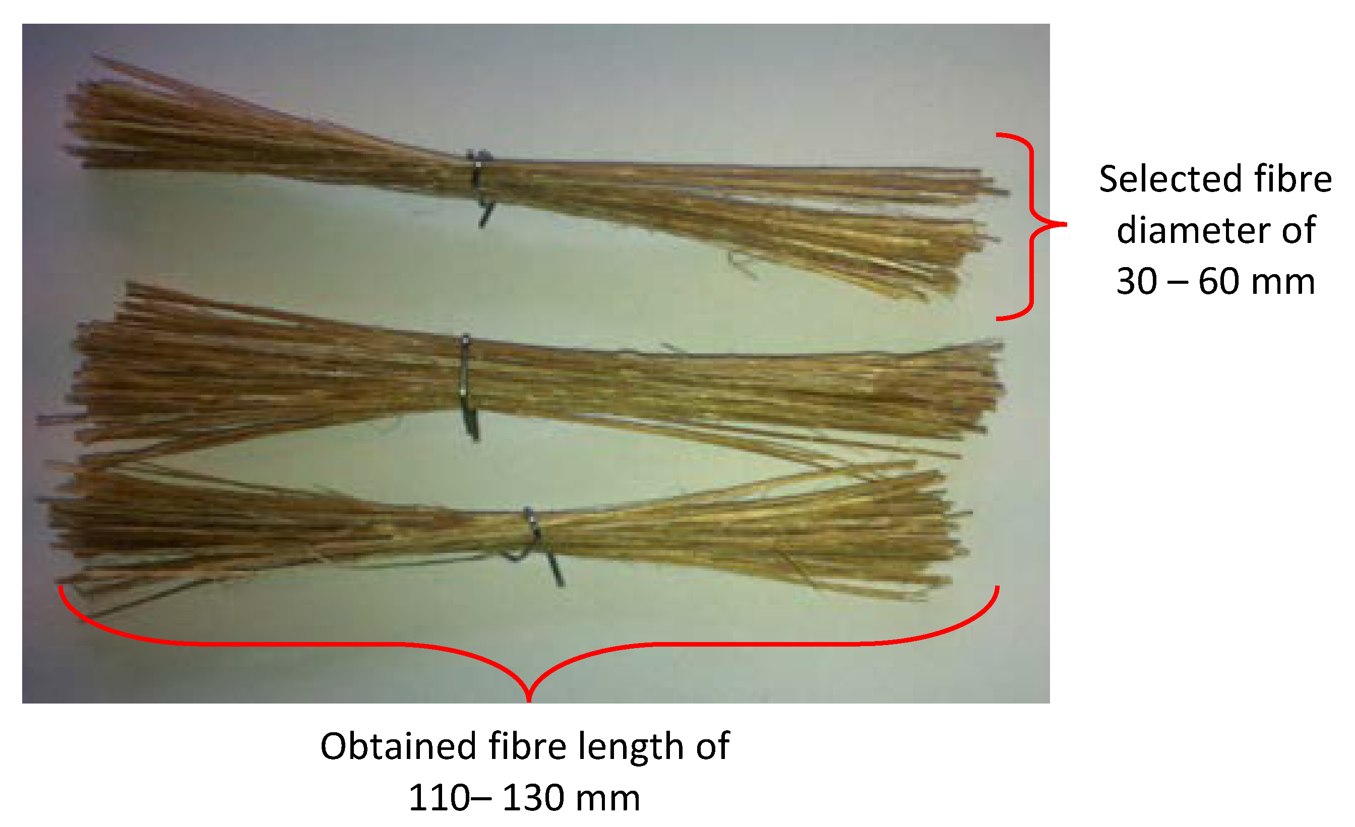 Polymers 13 02444 g002 550