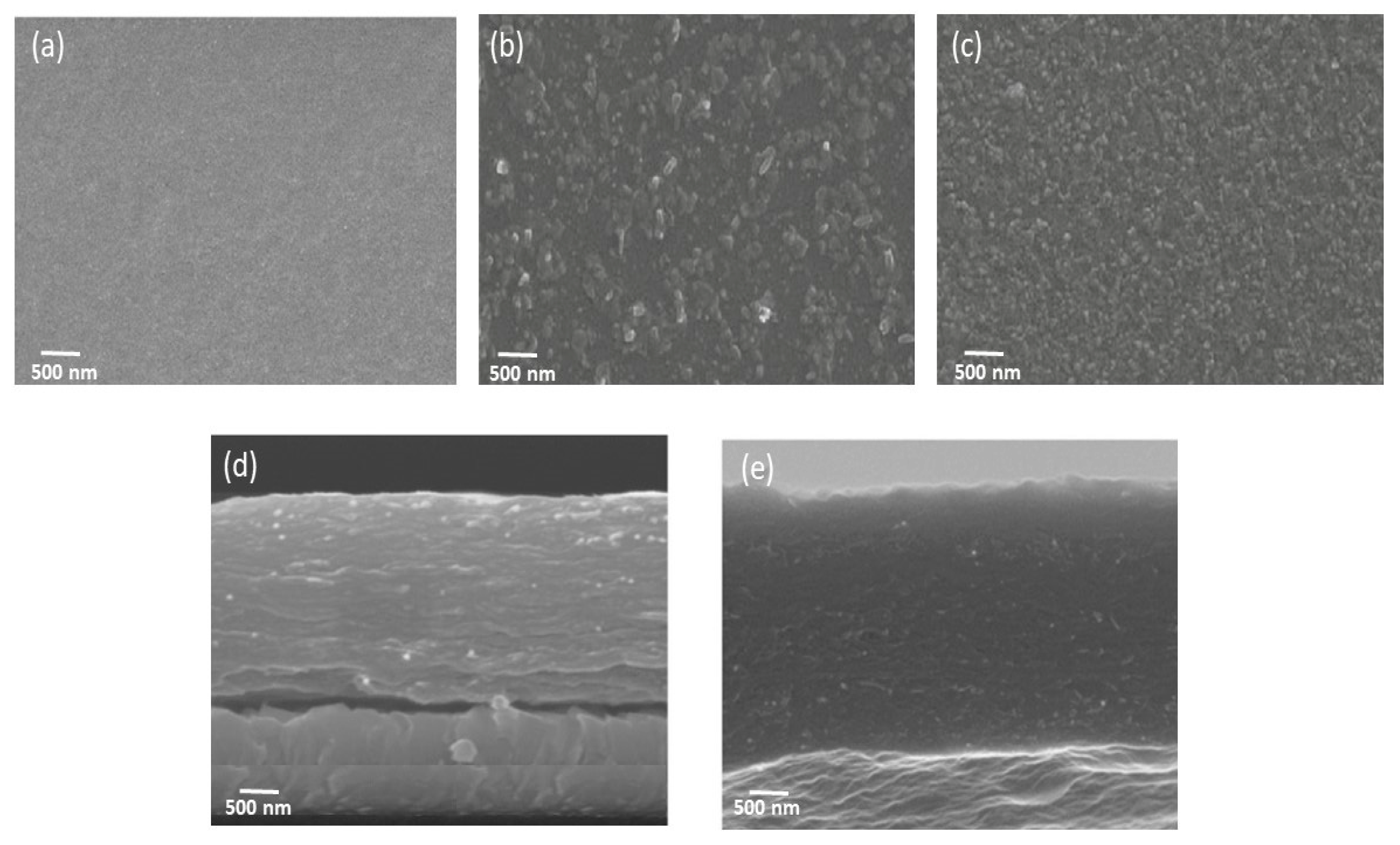 Polymers 13 02445 g002