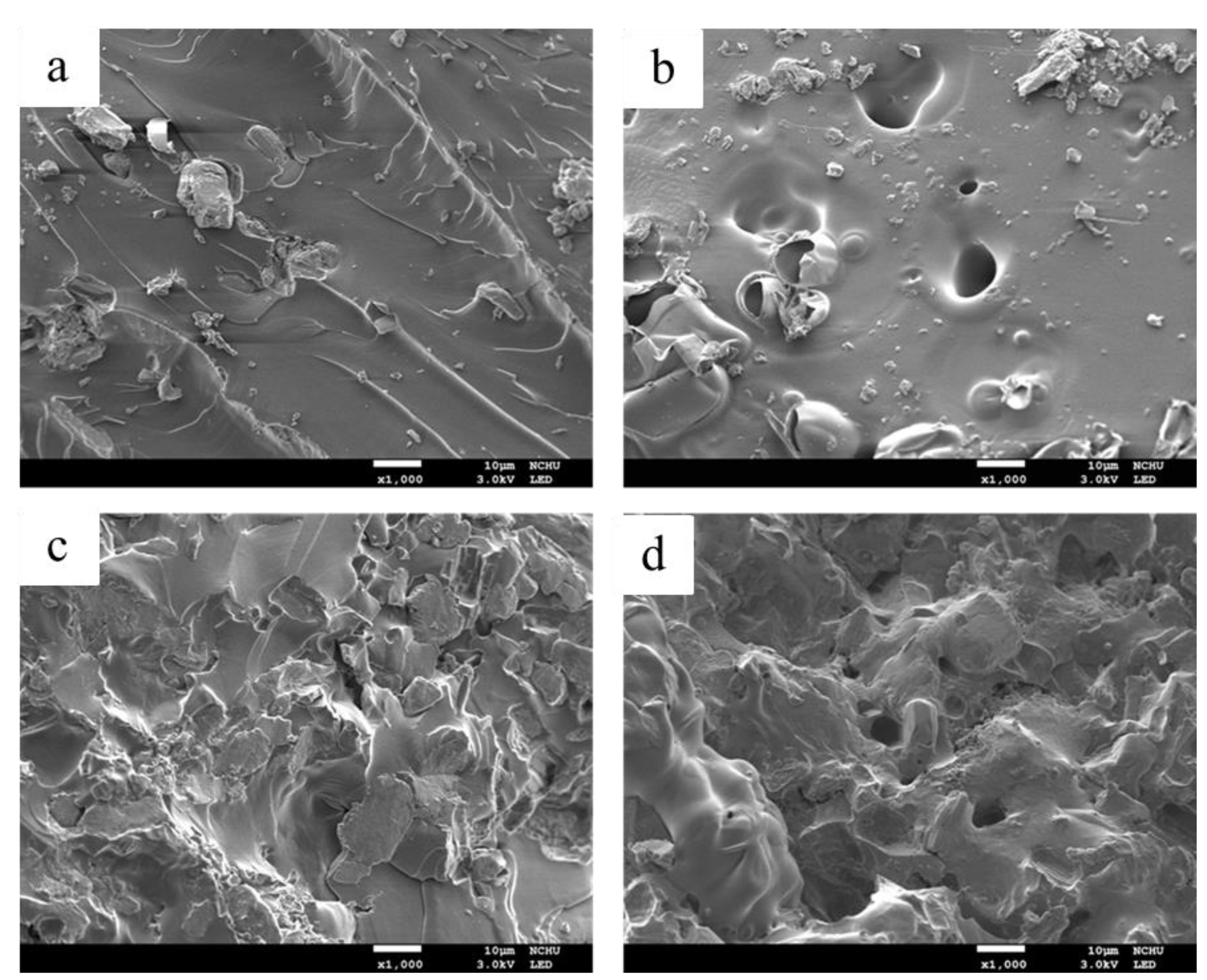 Polymers 13 02446 g005 550
