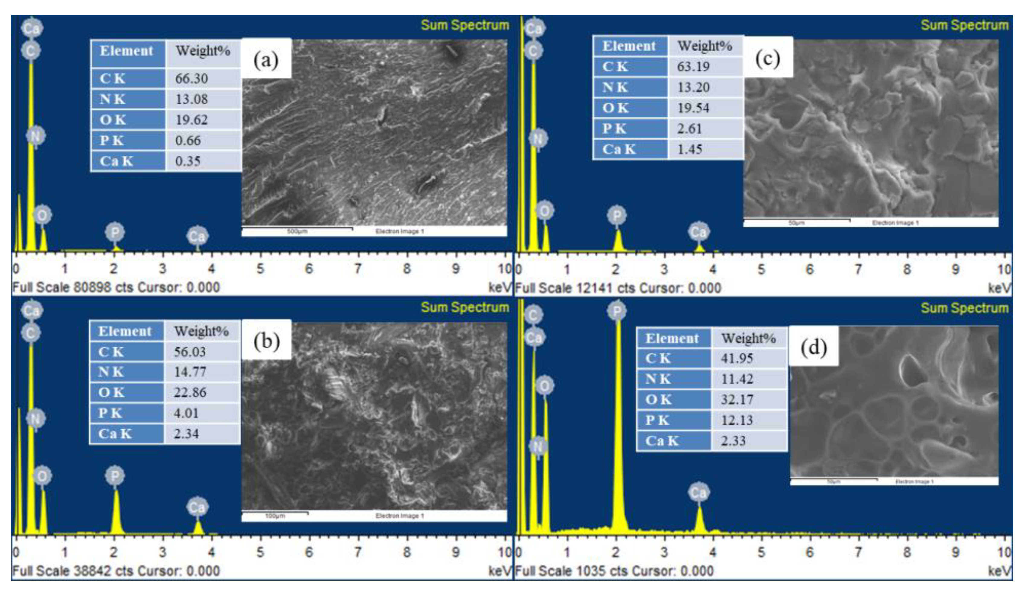 Polymers 13 02446 g006 550