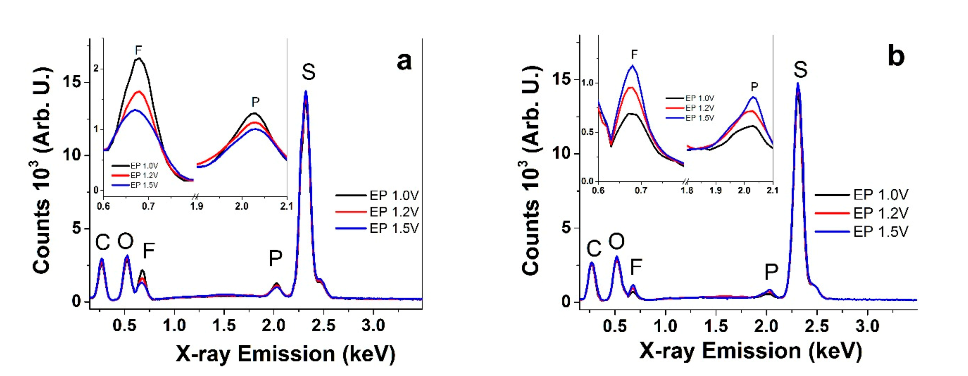 Polymers 13 02448 g002