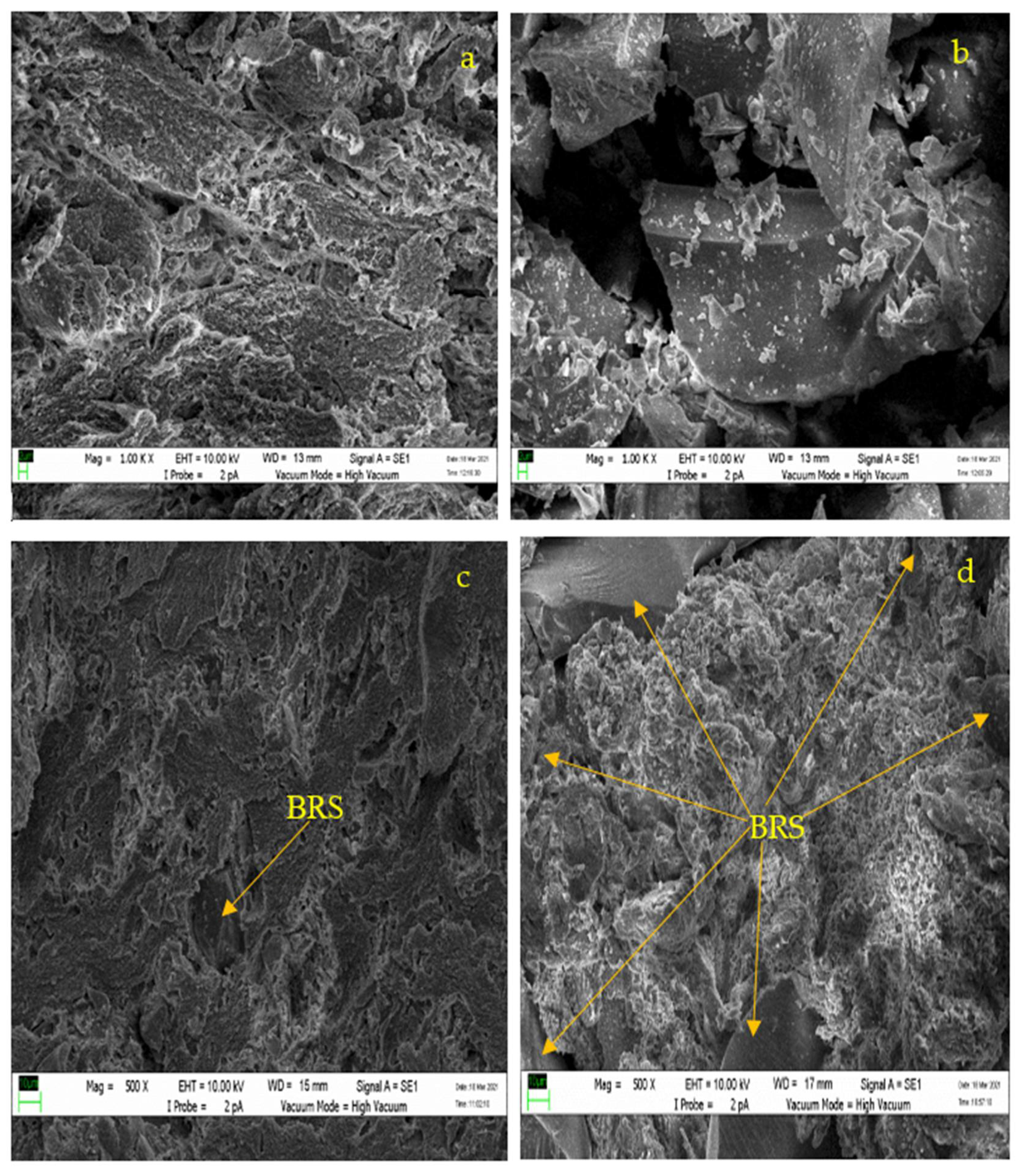 Polymers 13 02449 g003 Polymers 13 02449 g003