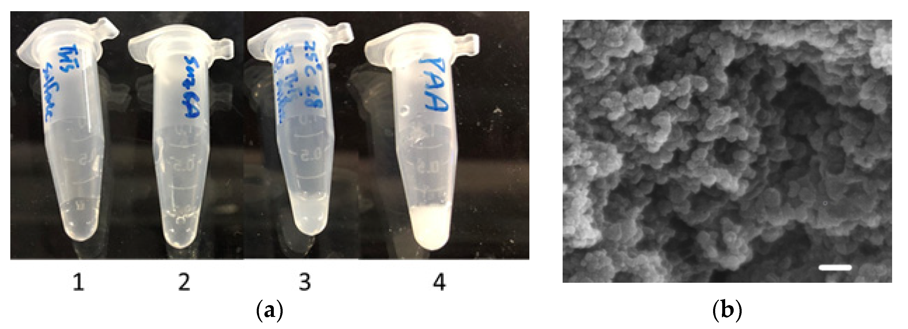 Polymers 13 02452 g002 550