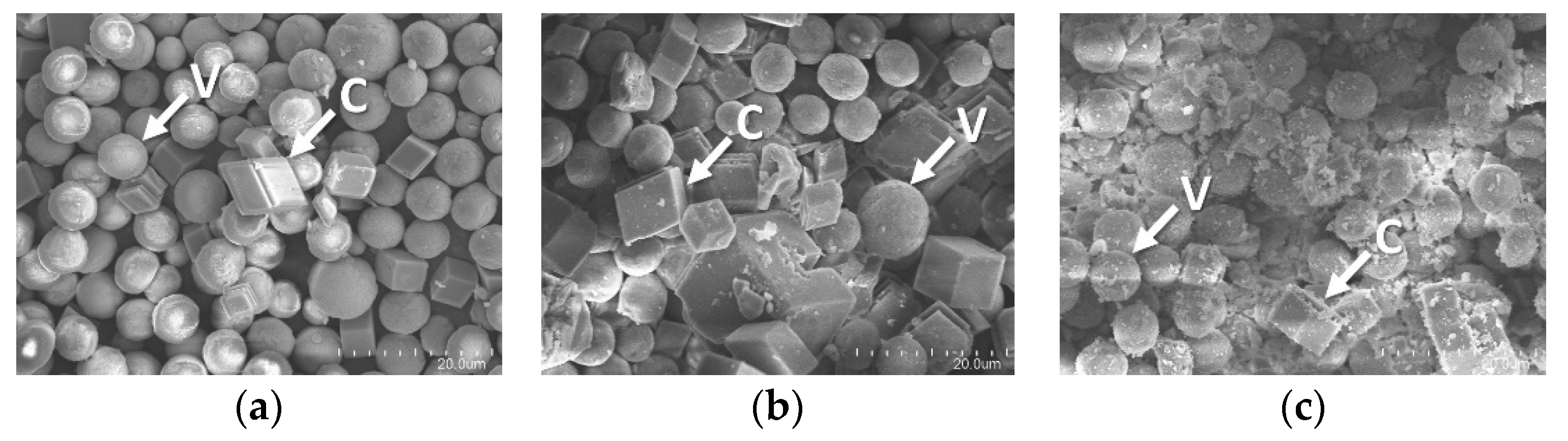 Polymers 13 02452 g010 550