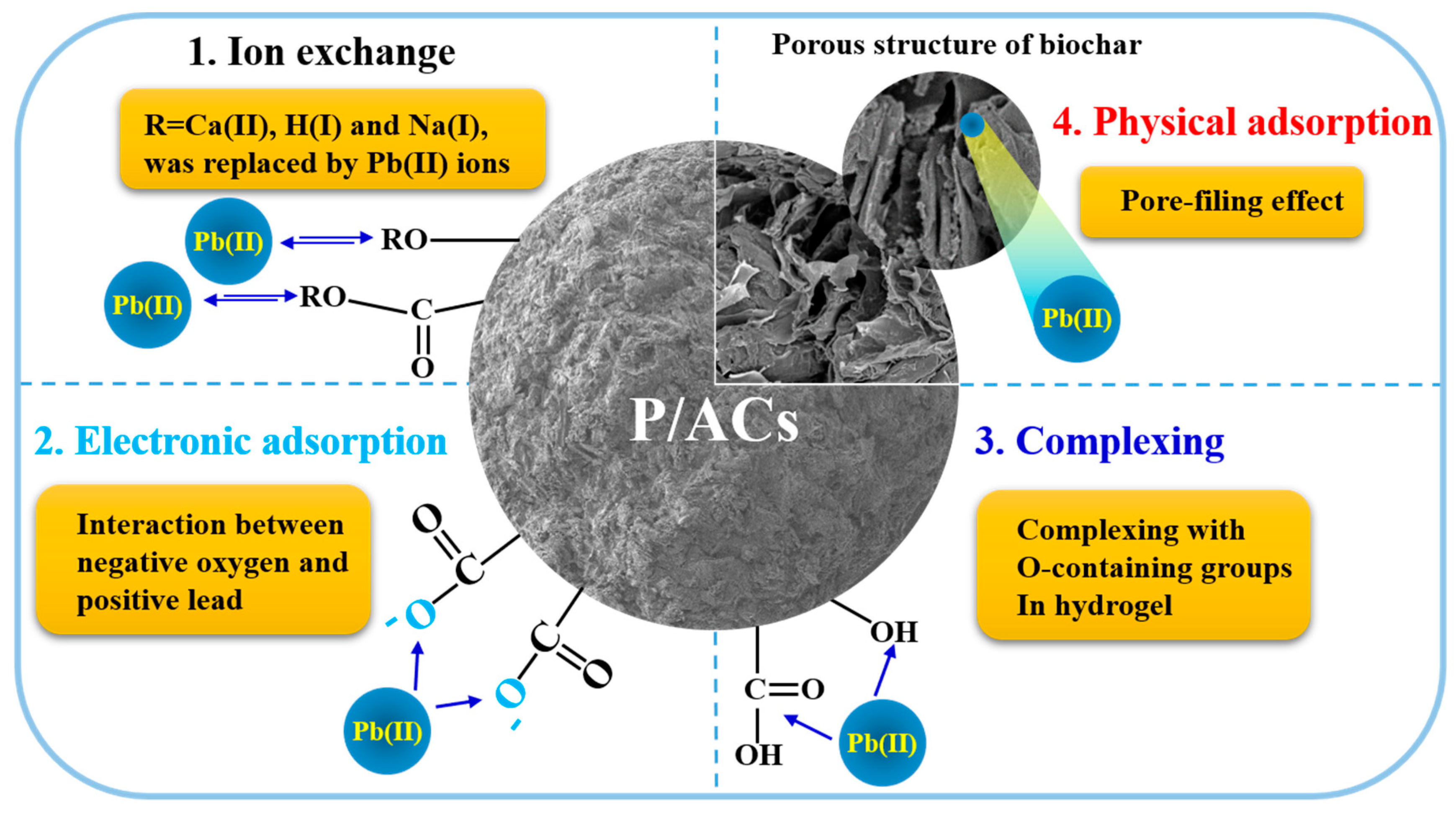 Polymers 13 02453 g010 550