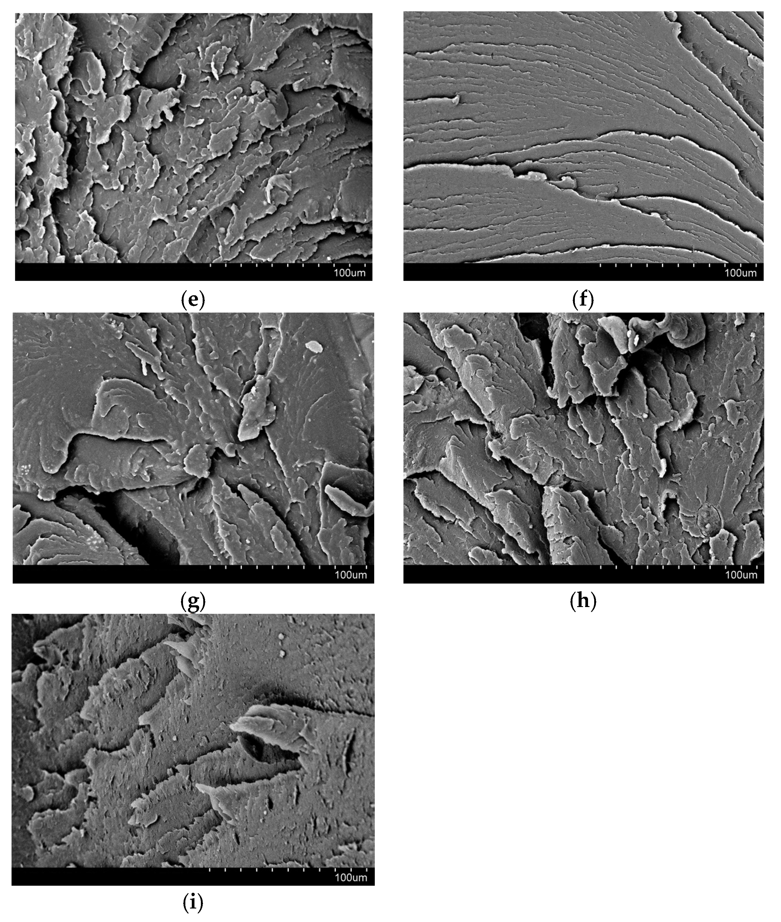 Polymers 13 02455 g006b