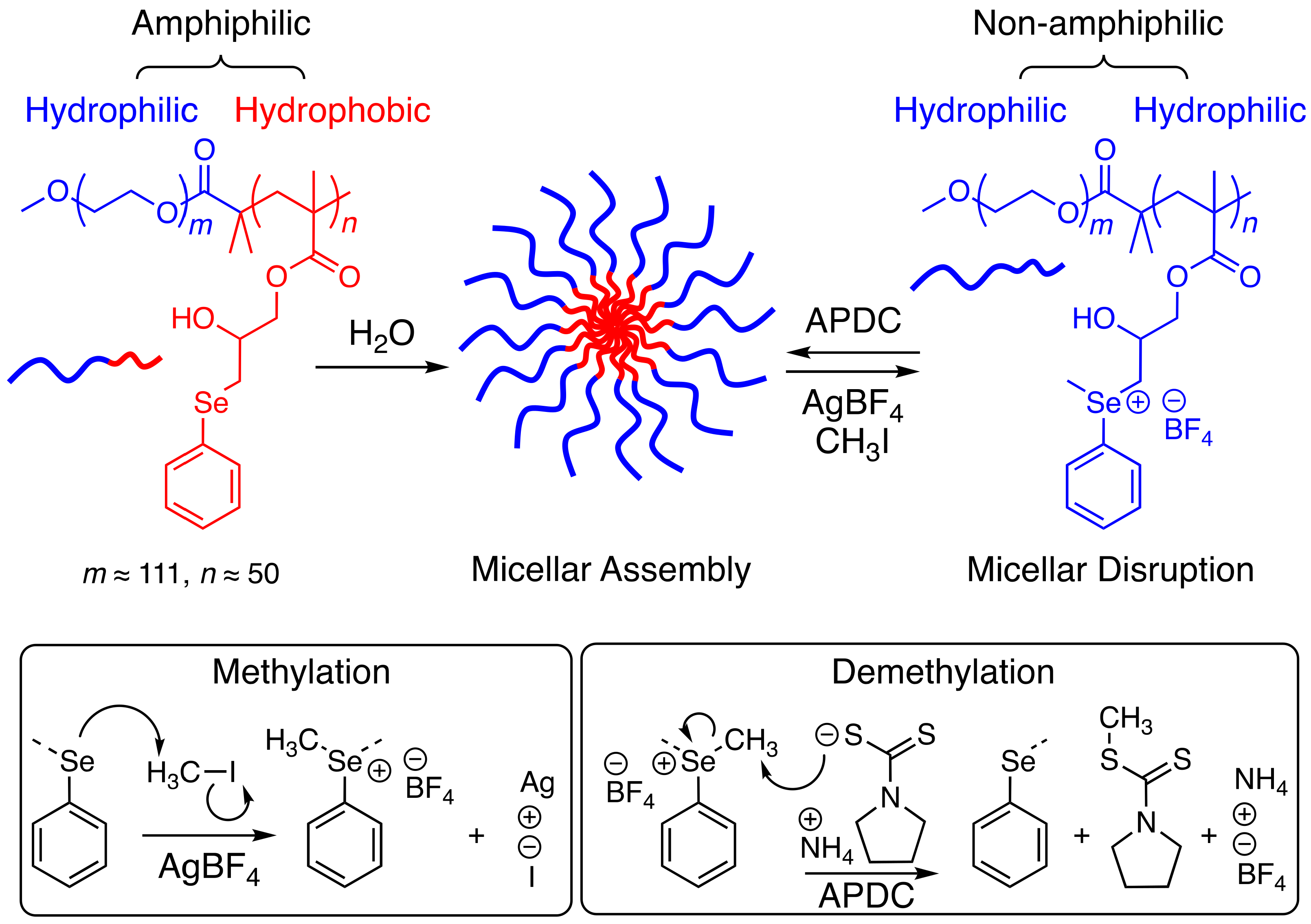 Polymers 13 02456 g001 550