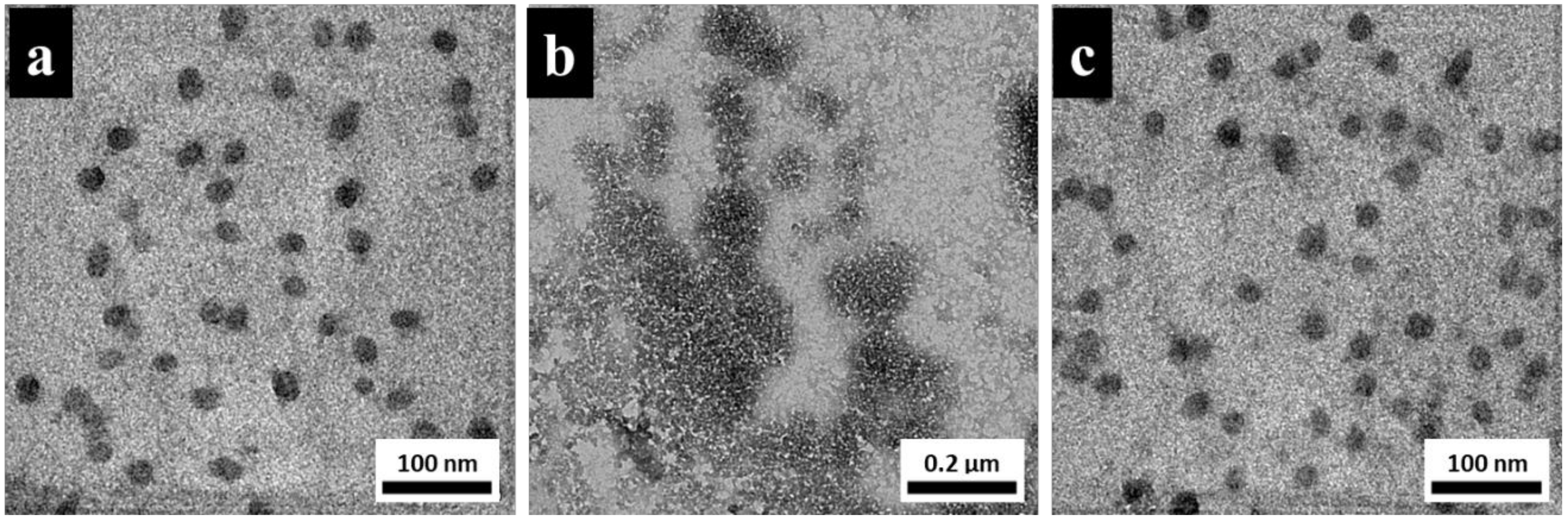 Polymers 13 02456 g005 550