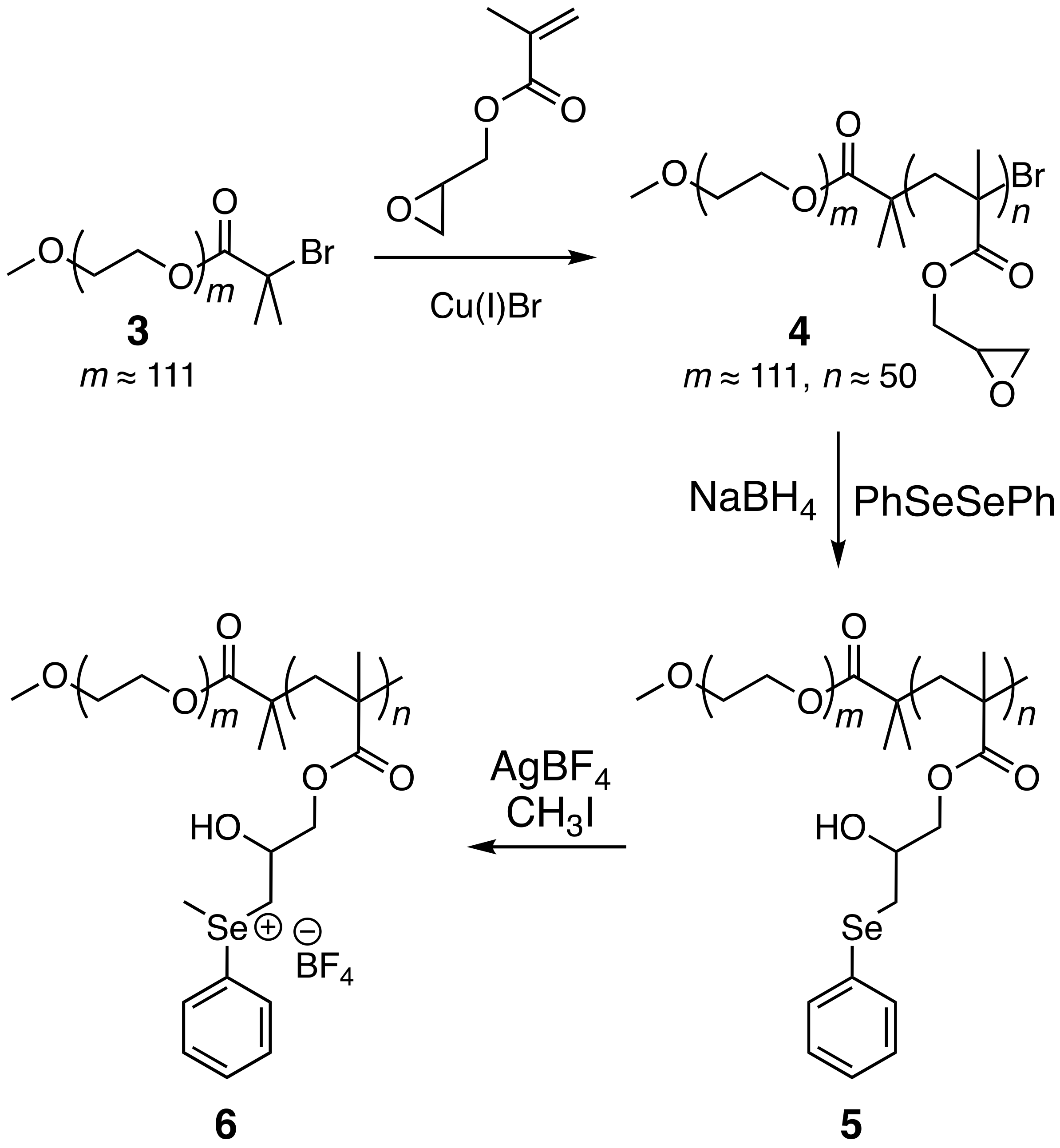 Polymers 13 02456 sch002 550