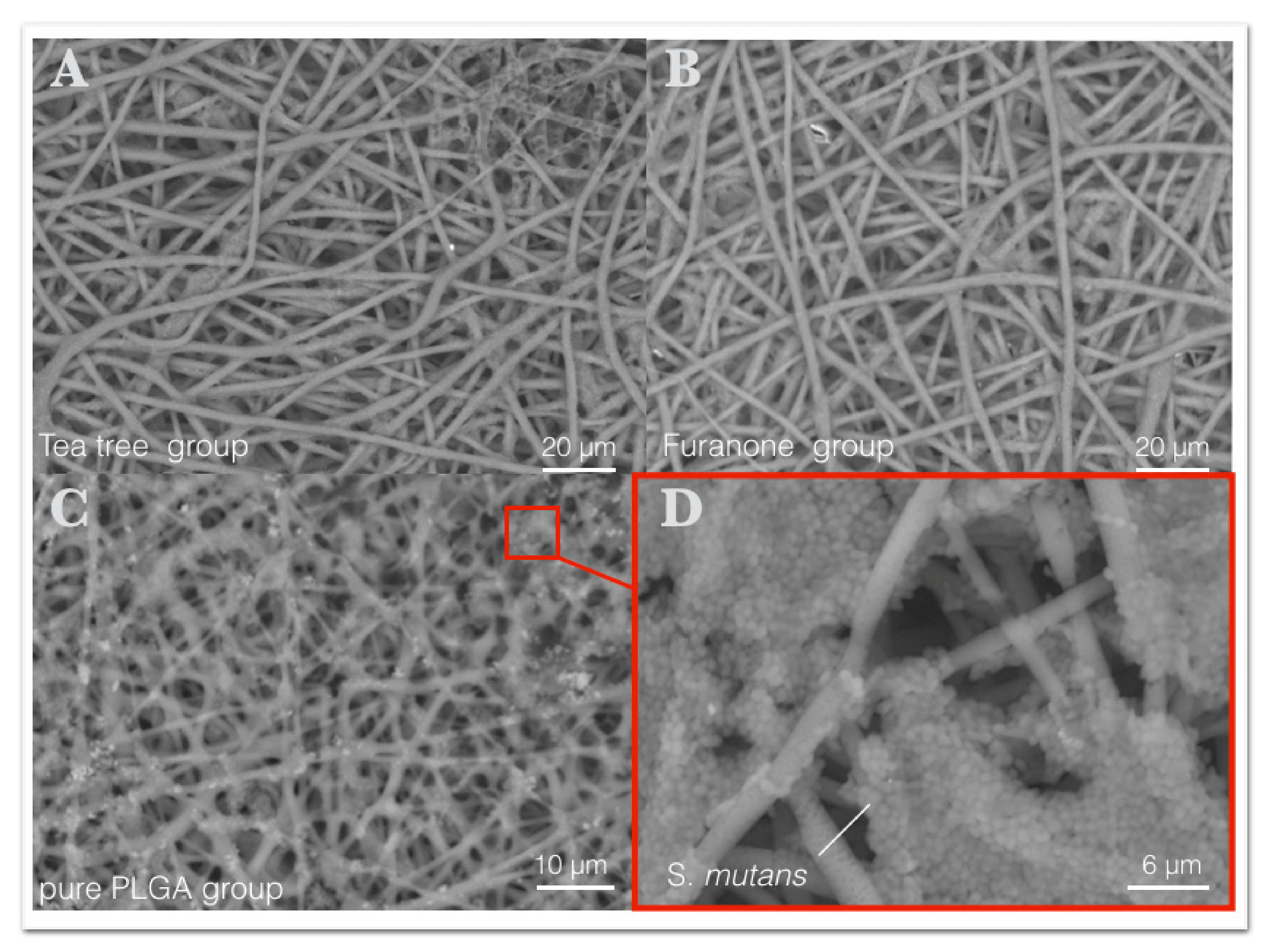 Polymers 13 02457 g006