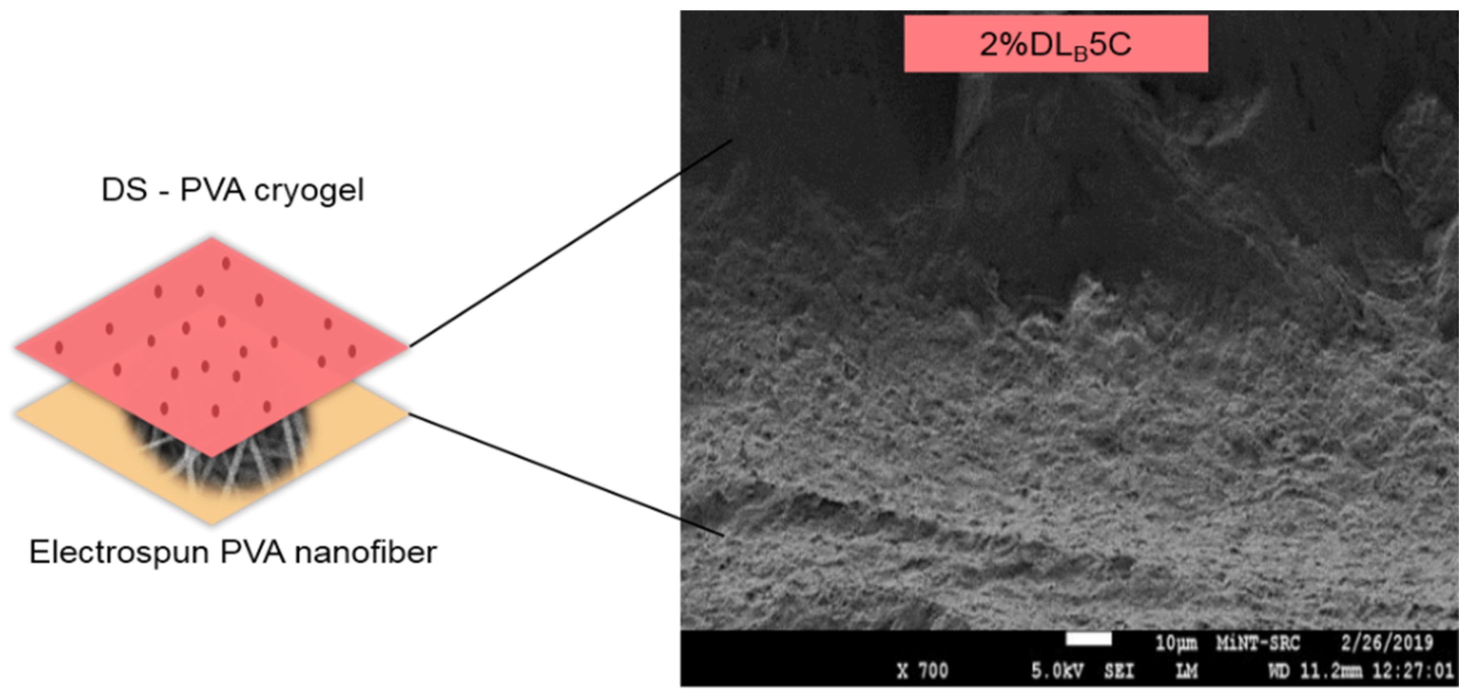 Polymers 13 02459 g004 550