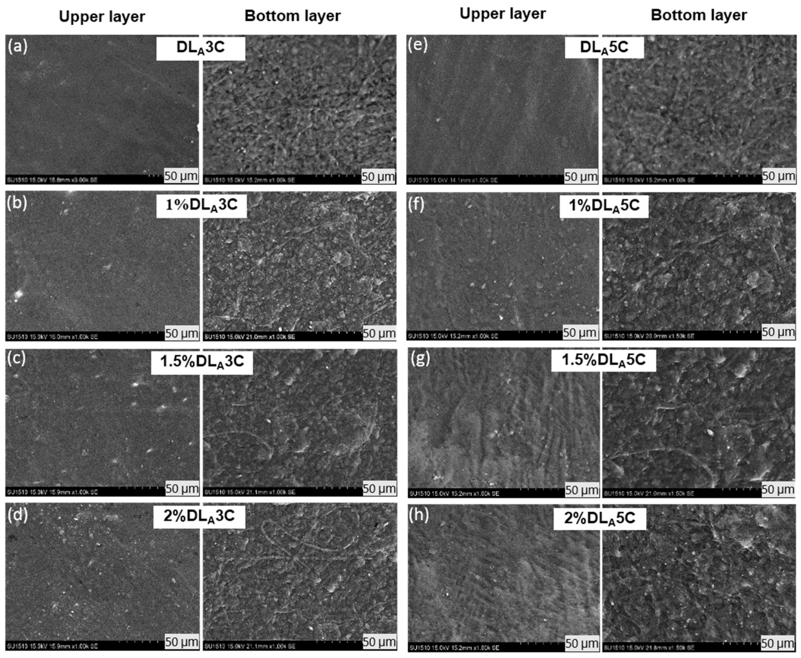 Polymers 13 02459 g005 550