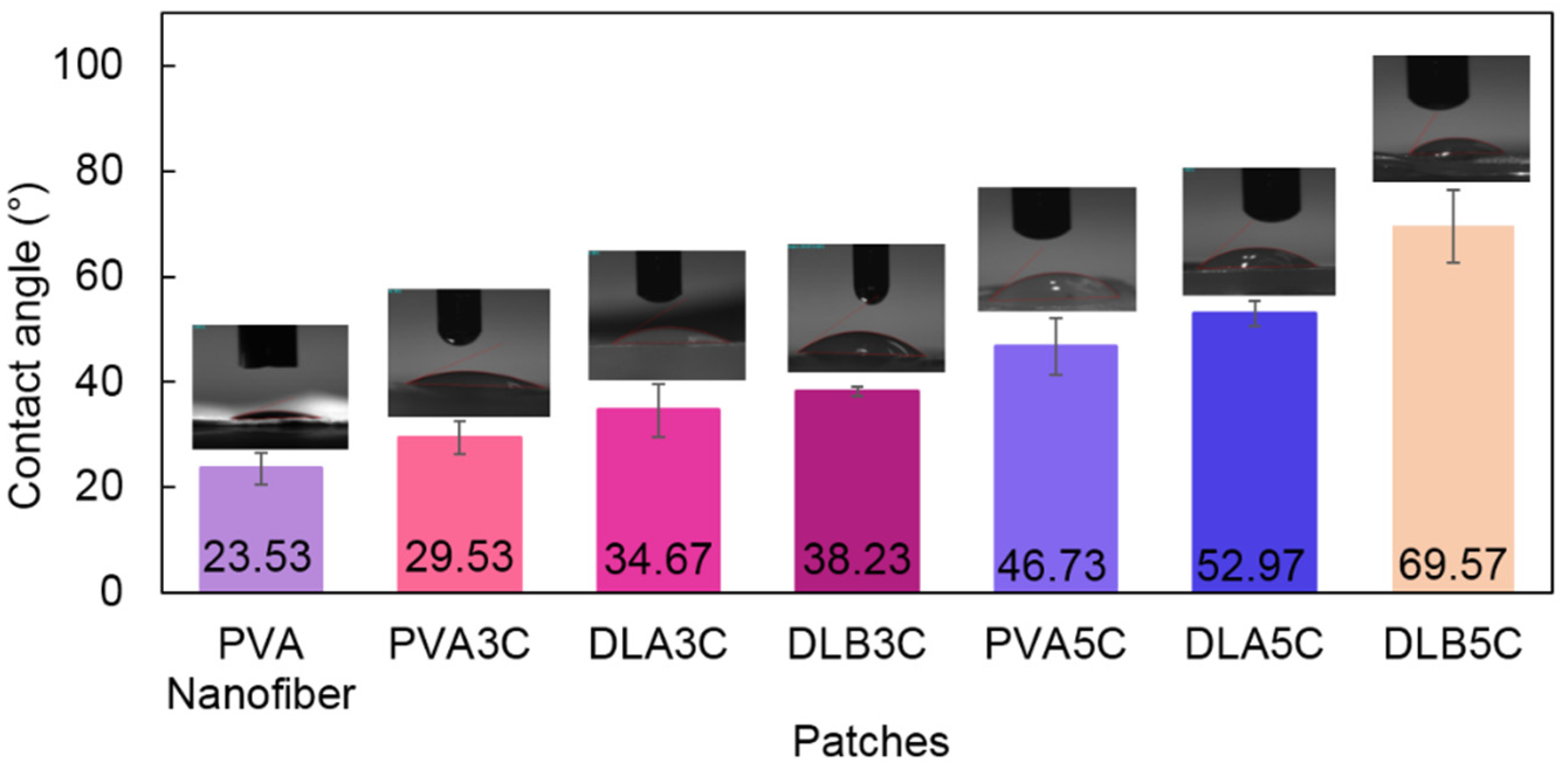 Polymers 13 02459 g011 550