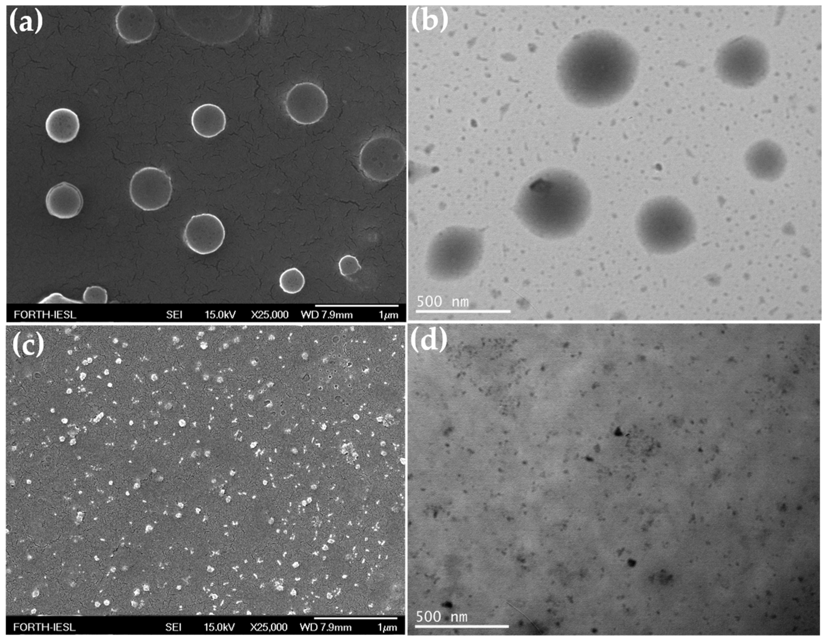 Polymers 13 02461 g011