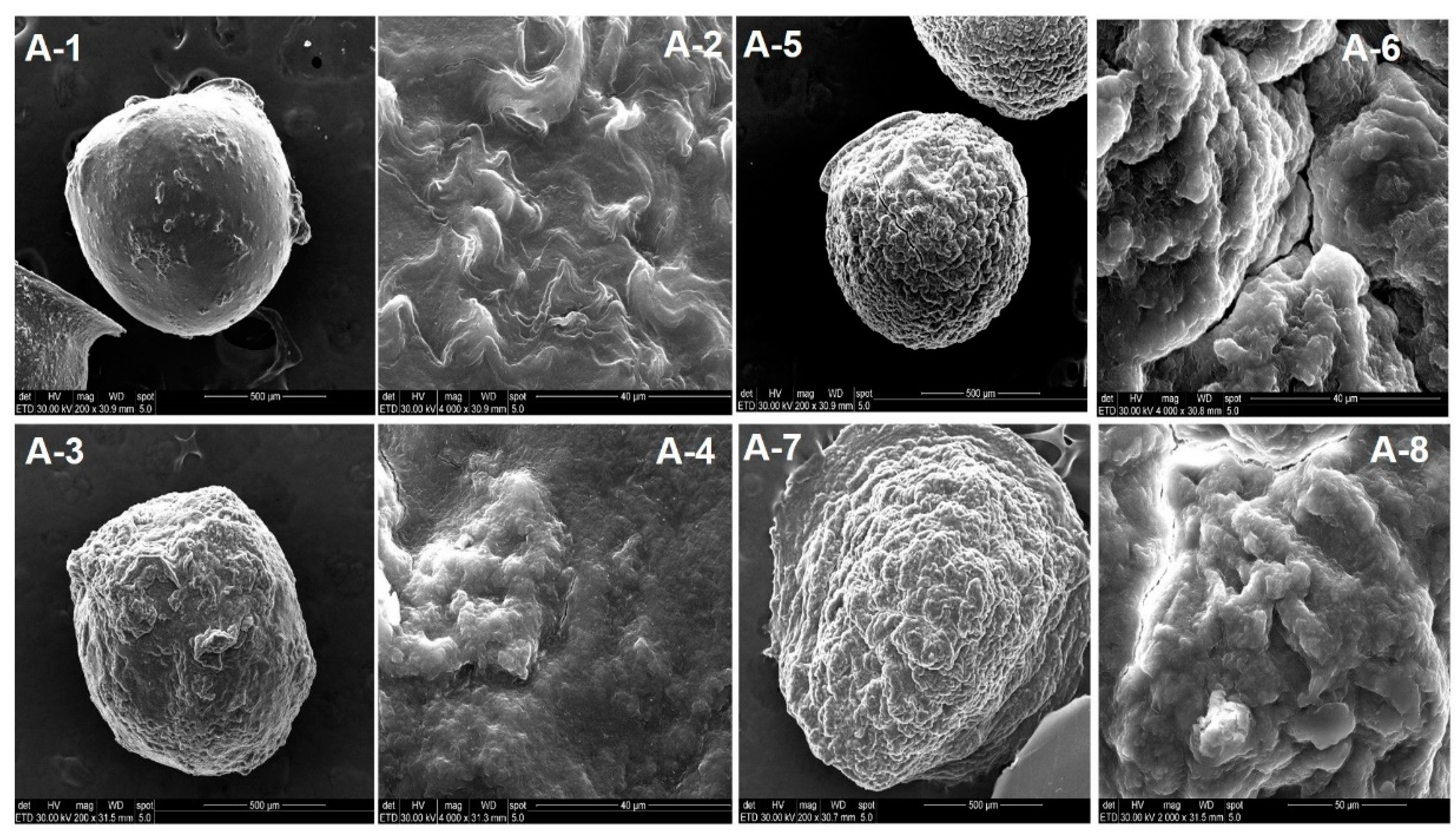 Polymers 13 02463 g010 Polymers 13 02463 g010