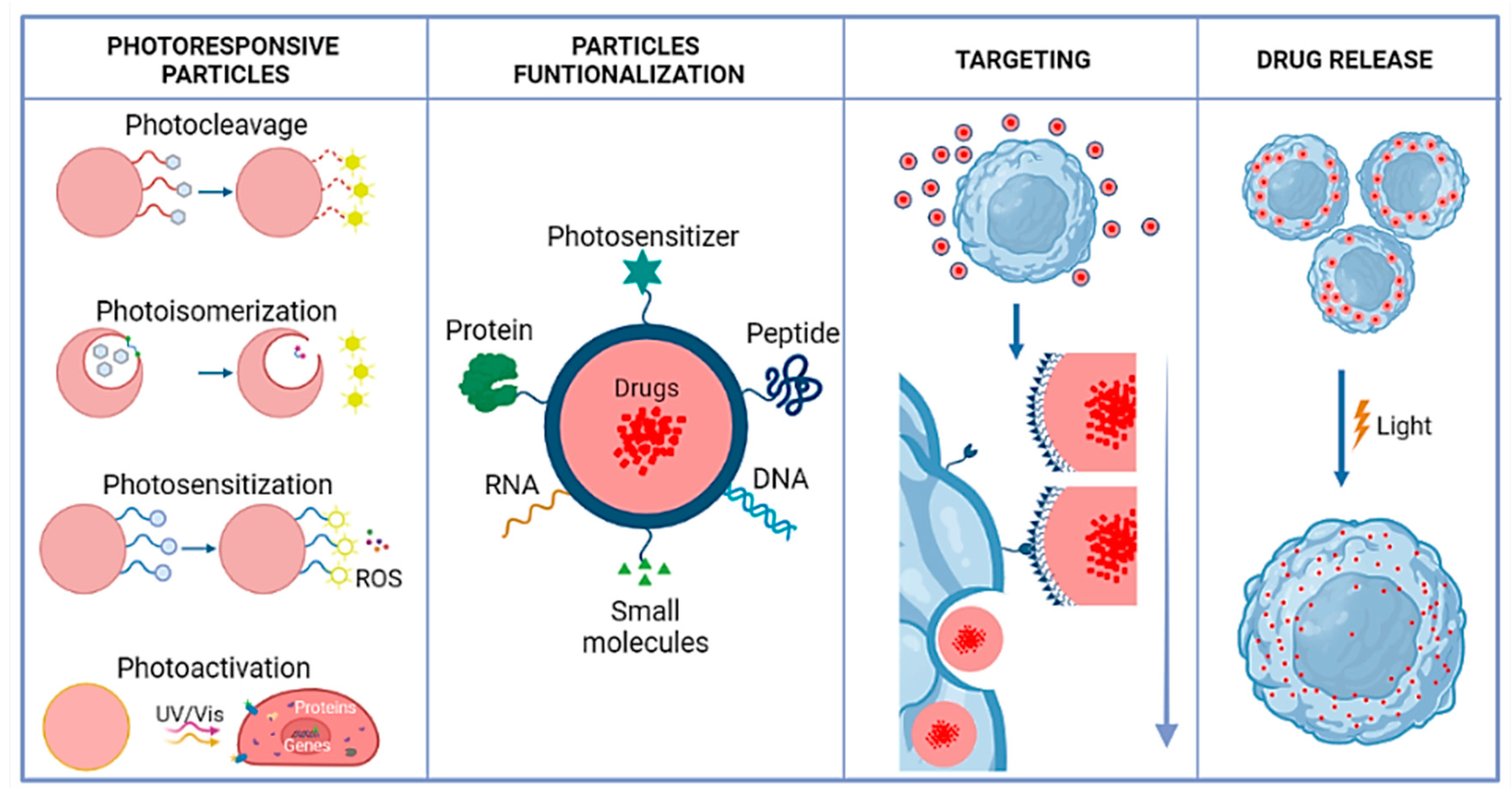 Polymers Free Full Text Advances In Functionalized Photosensitive Polymeric Nanocarriers