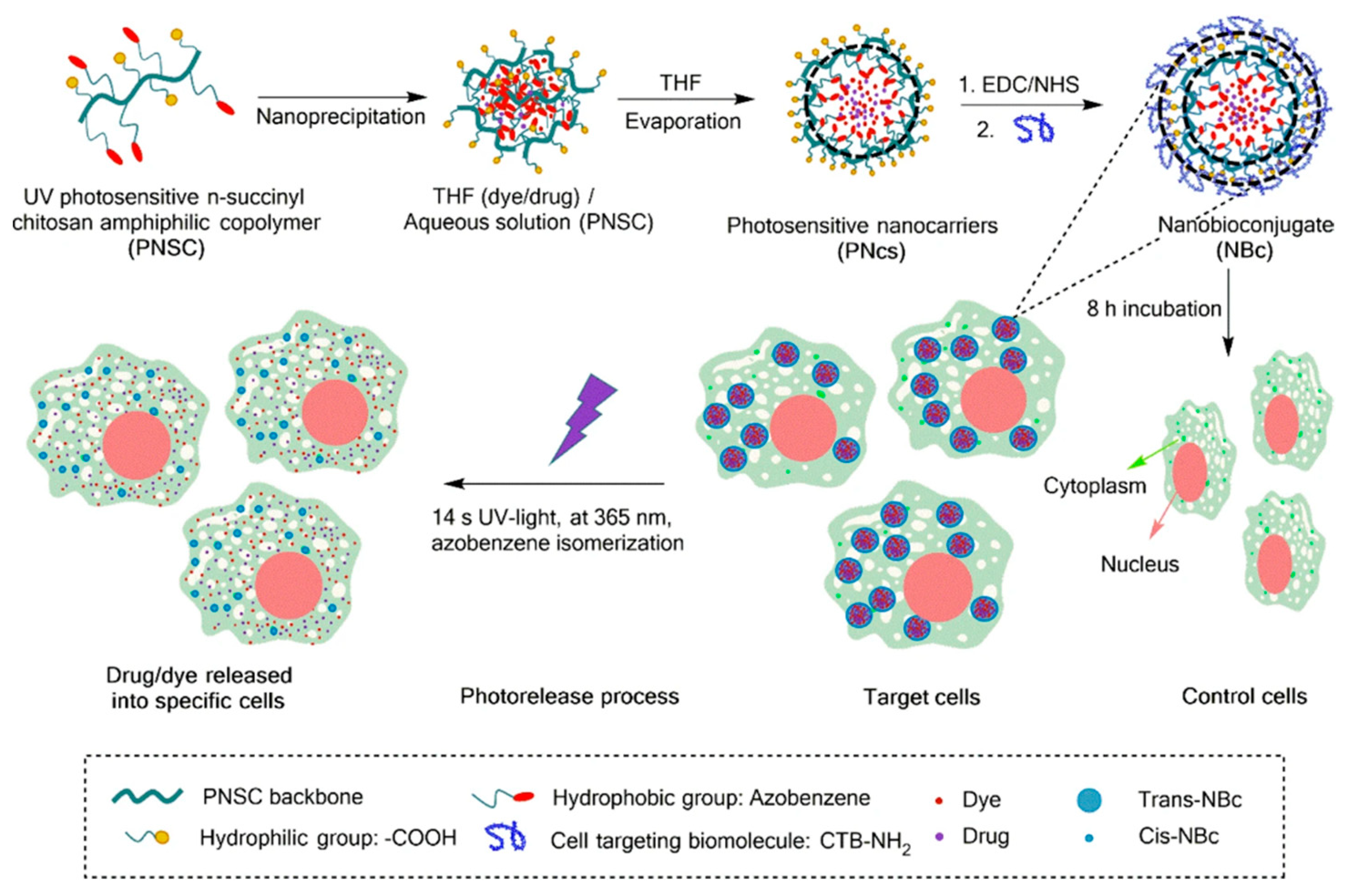 Polymers 13 02464 g004 Polymers 13 02464 g004