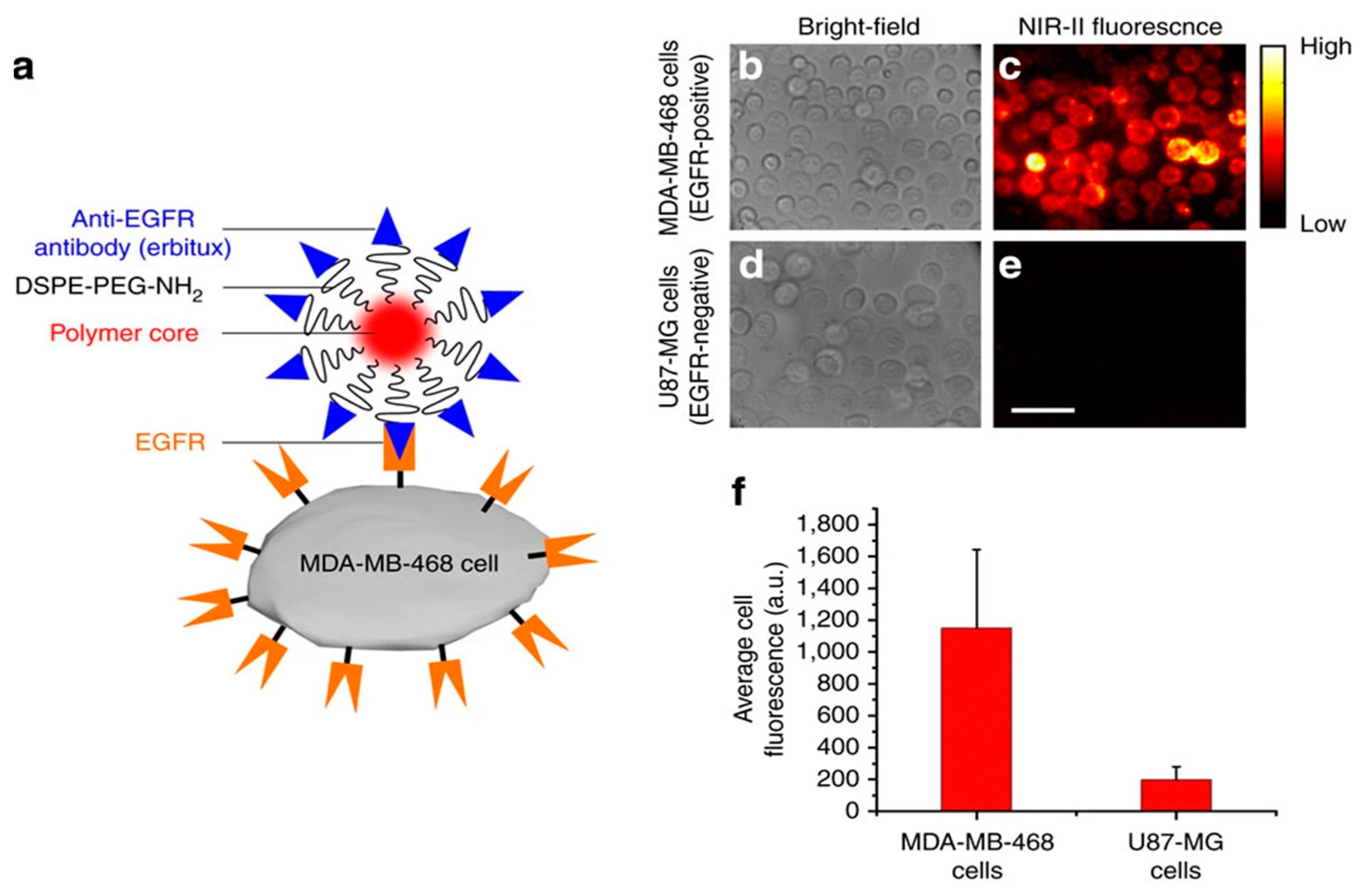 Polymers 13 02464 g006 Polymers 13 02464 g006