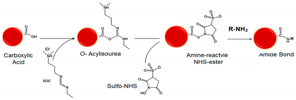 Polymers 13 02464 i002 Polymers 13 02464 i002