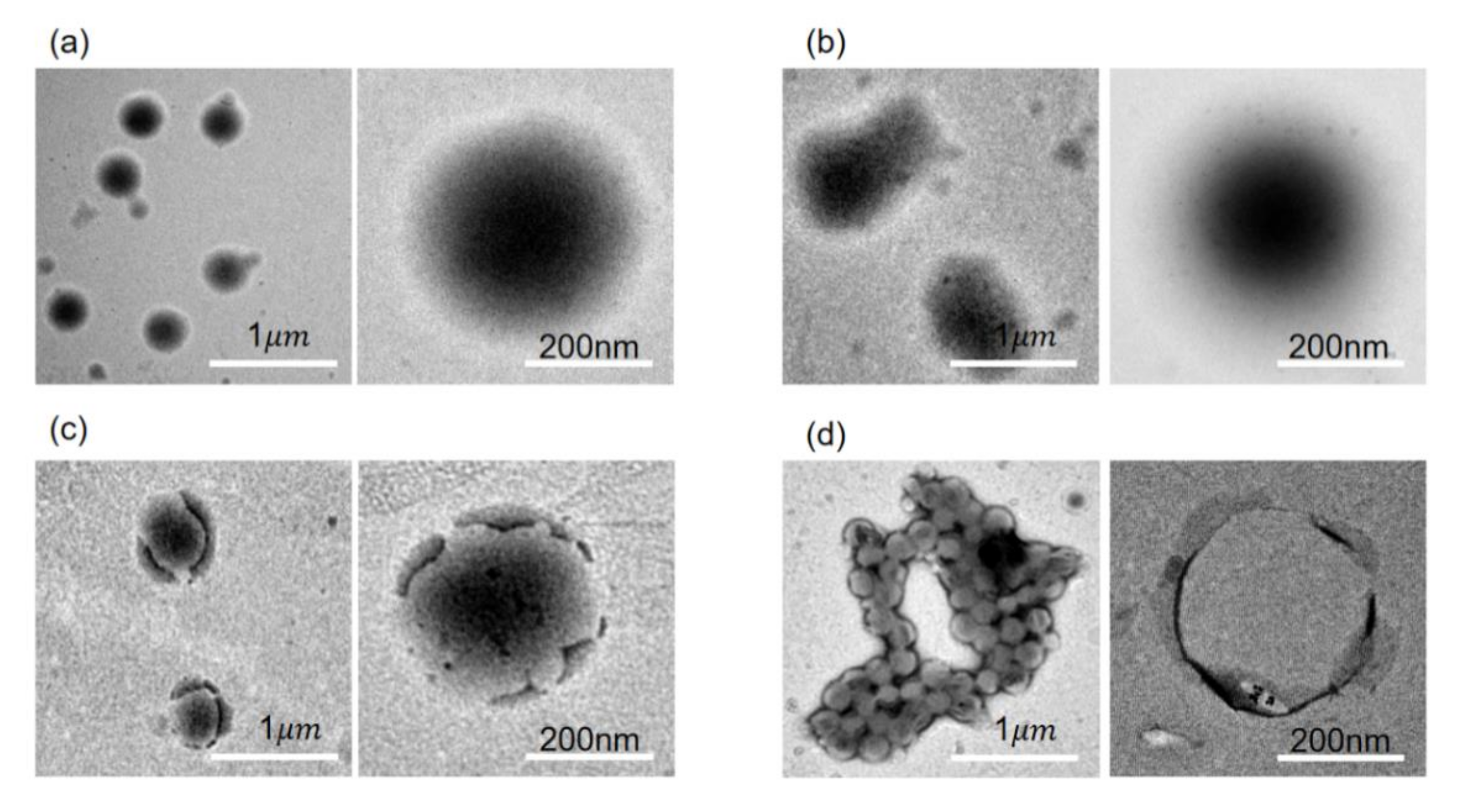 Polymers 13 02470 g005 550