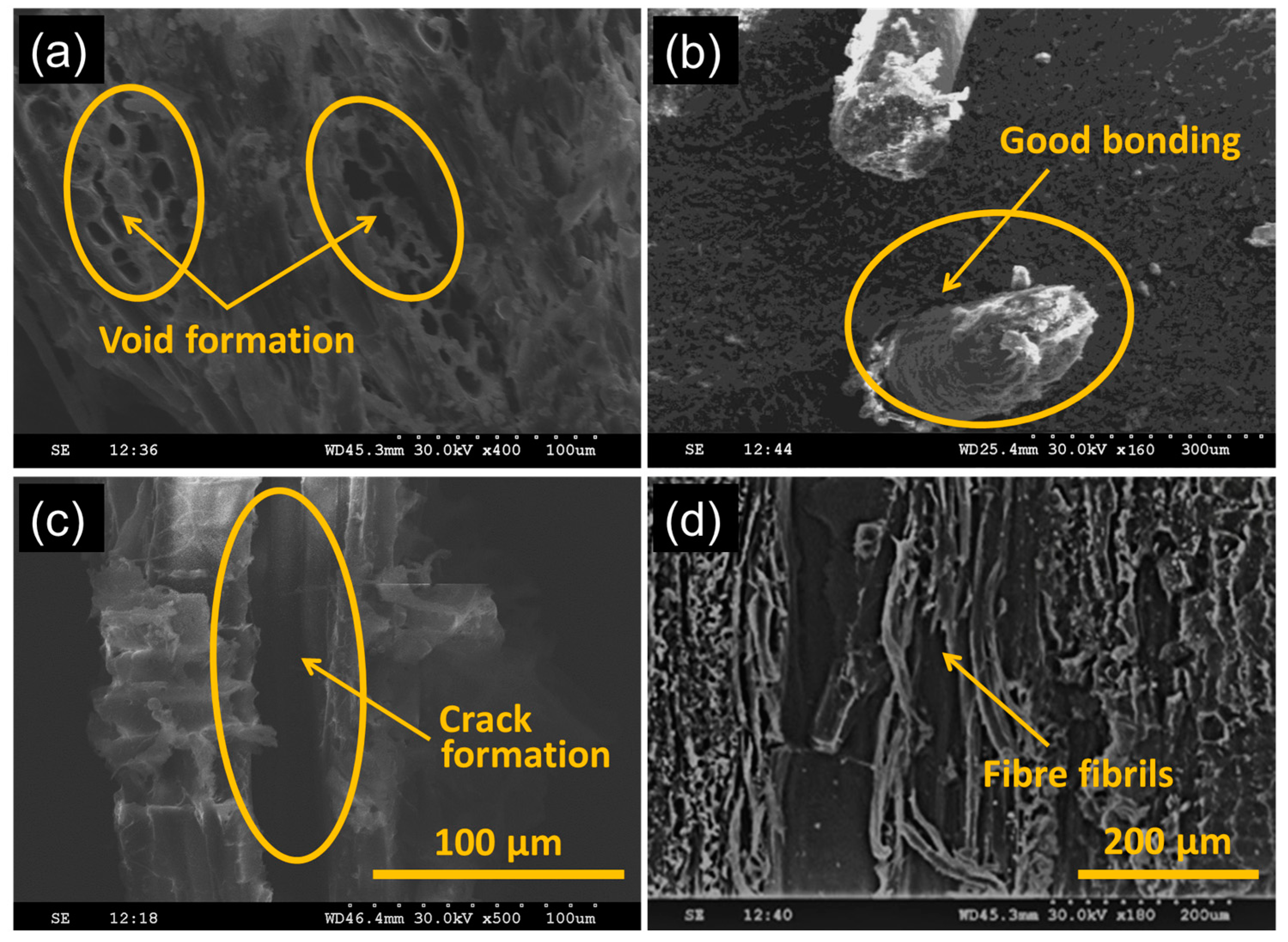 Polymers 13 02471 g003