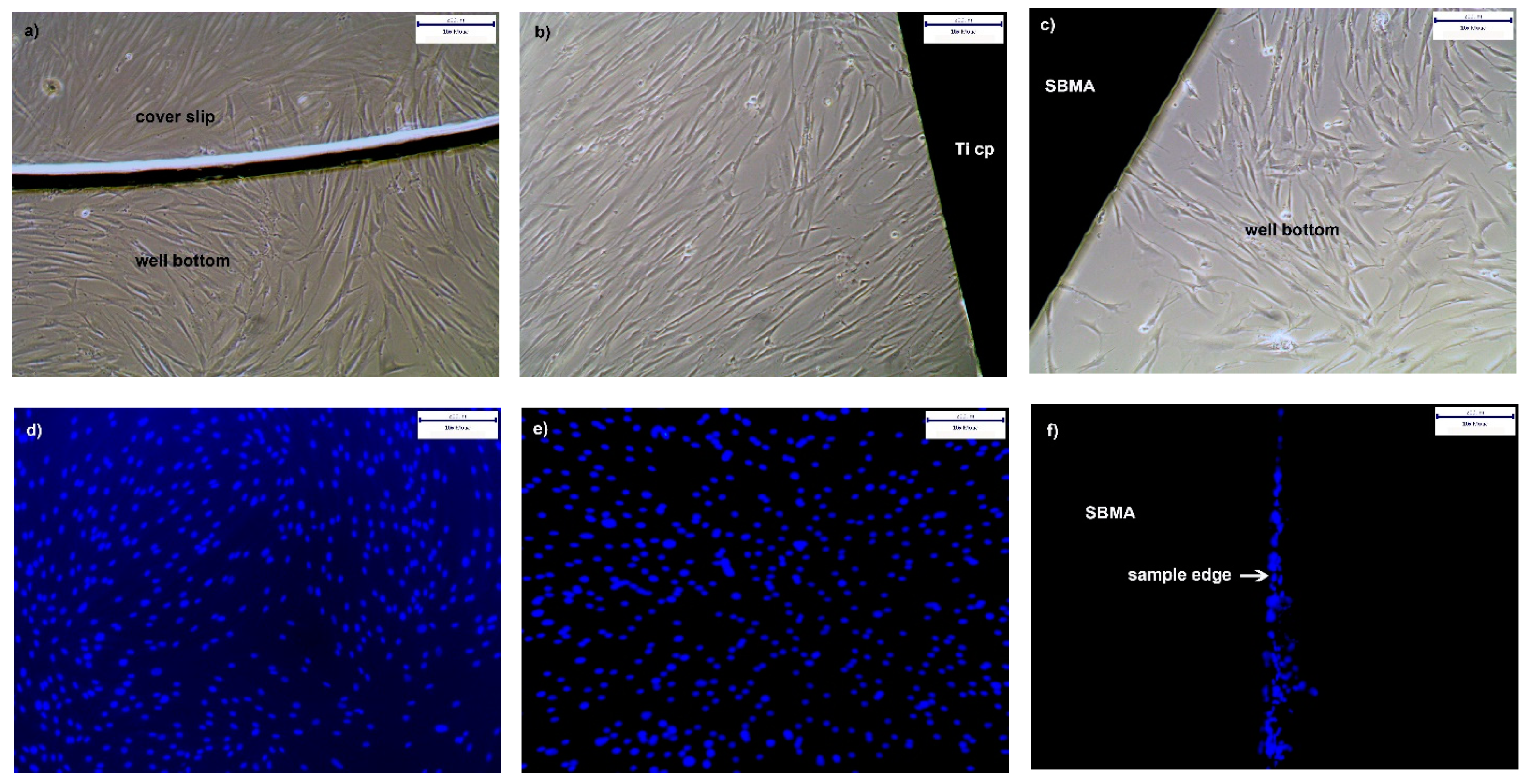 Polymers 13 02472 g007 550