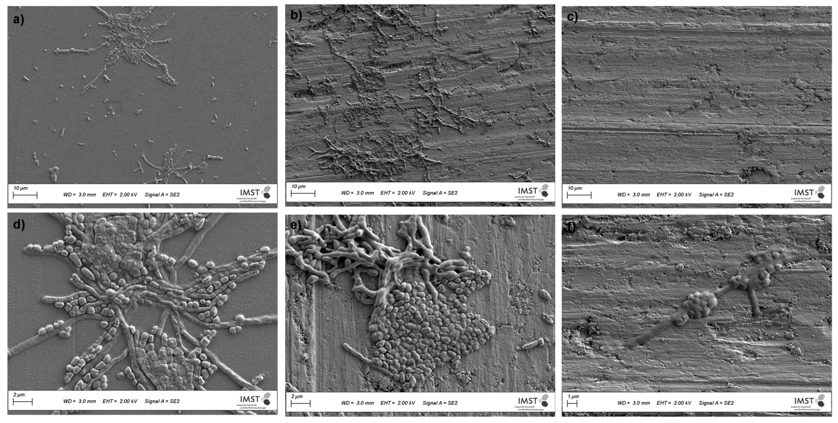 Polymers 13 02472 g009 550