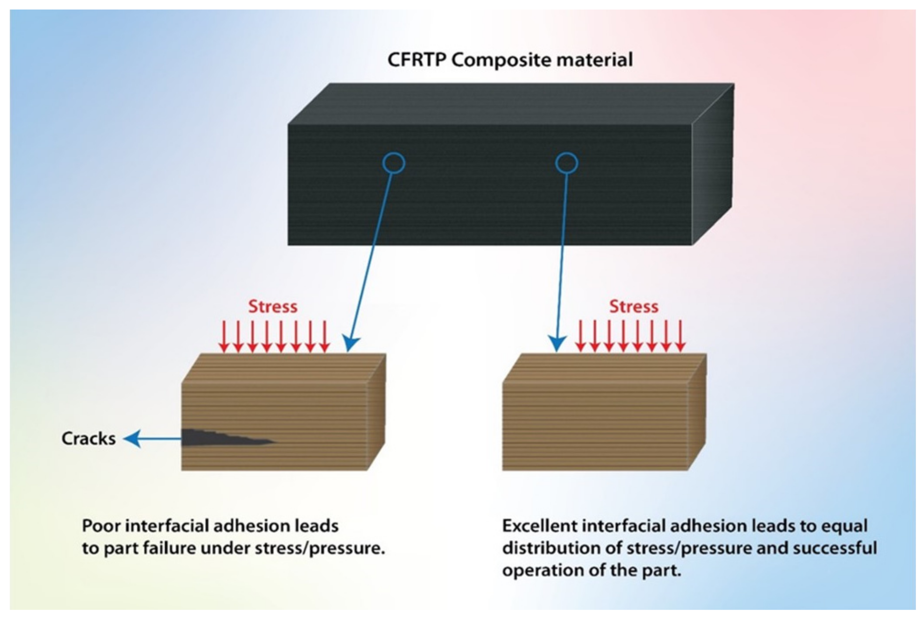 Polymers 13 02474 g003